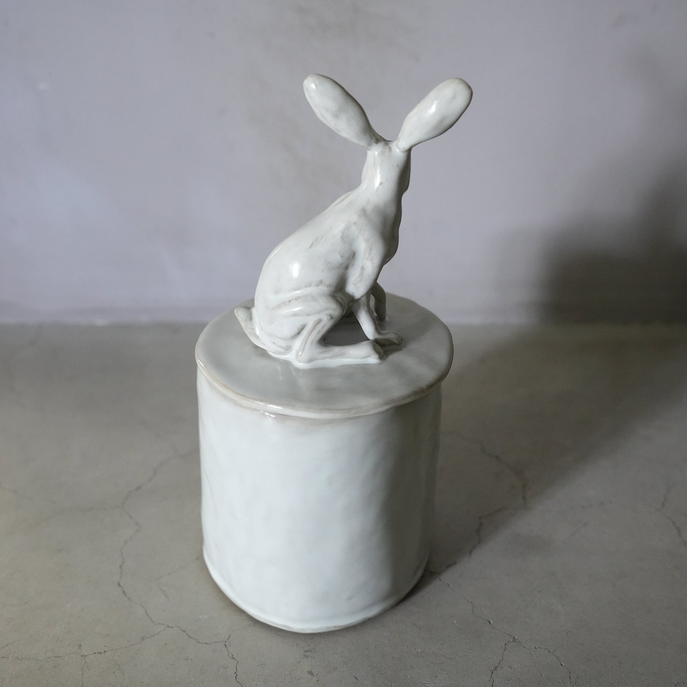 Hare Tin PP-020