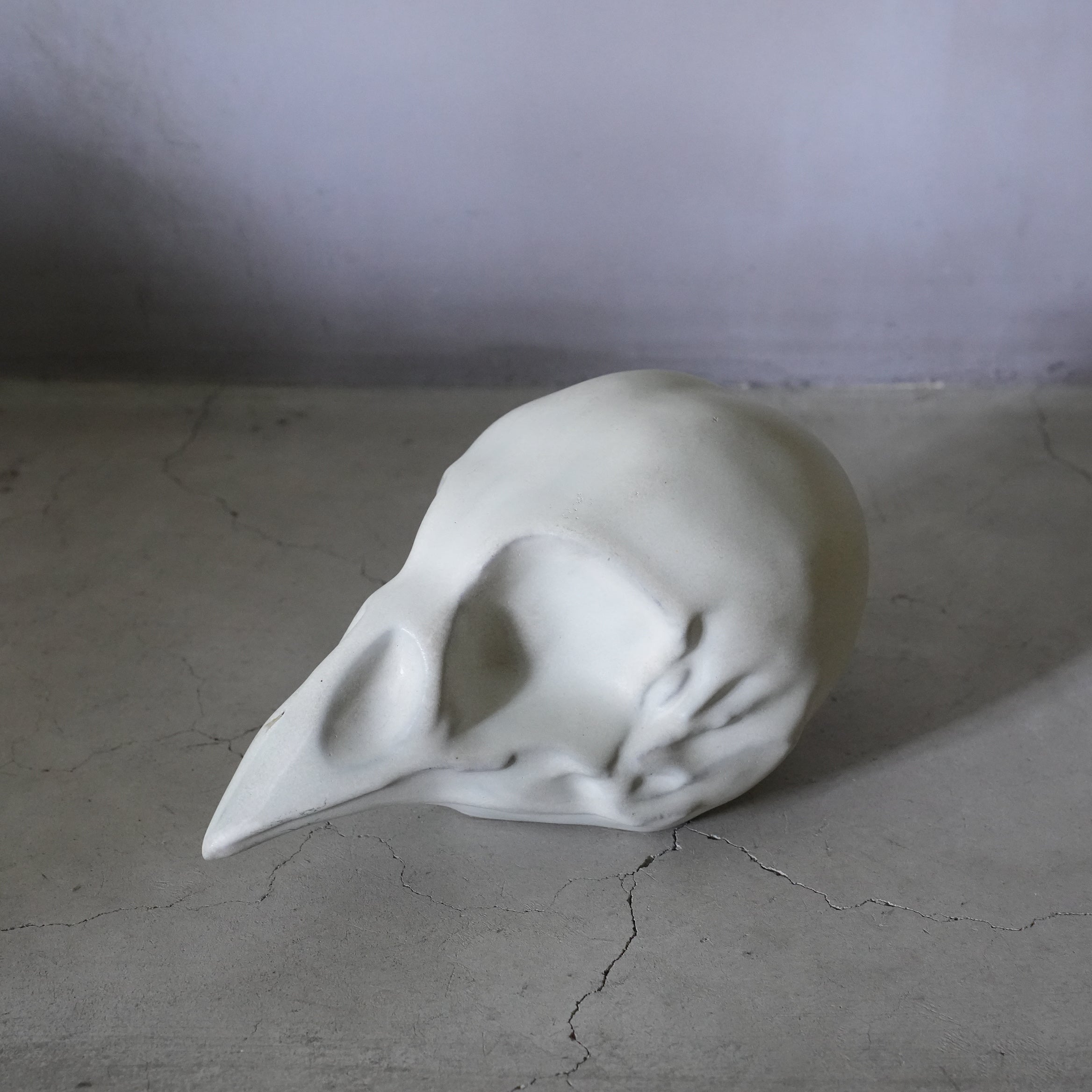Bird Skull BSK-002-02