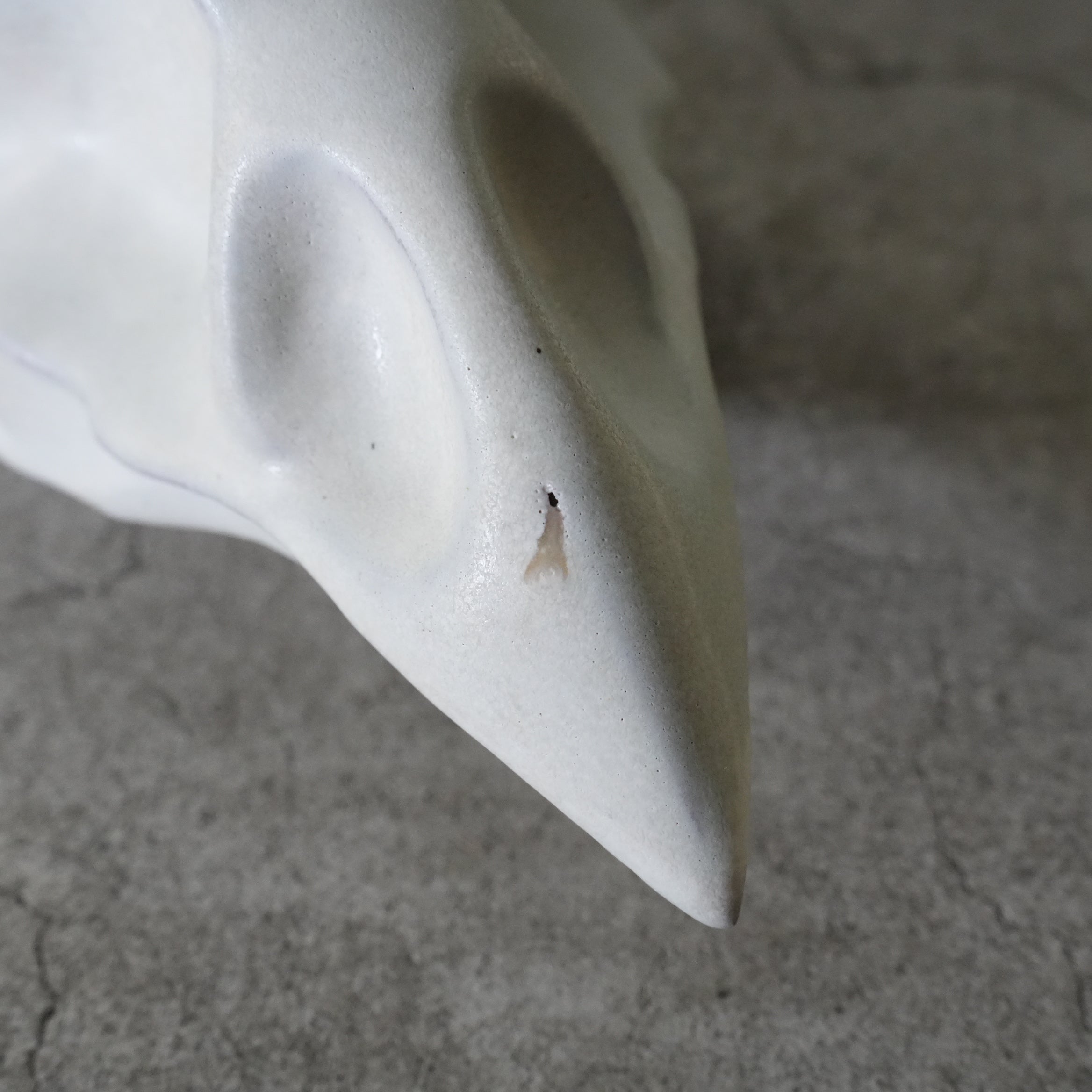 Bird Skull BSK-002-02