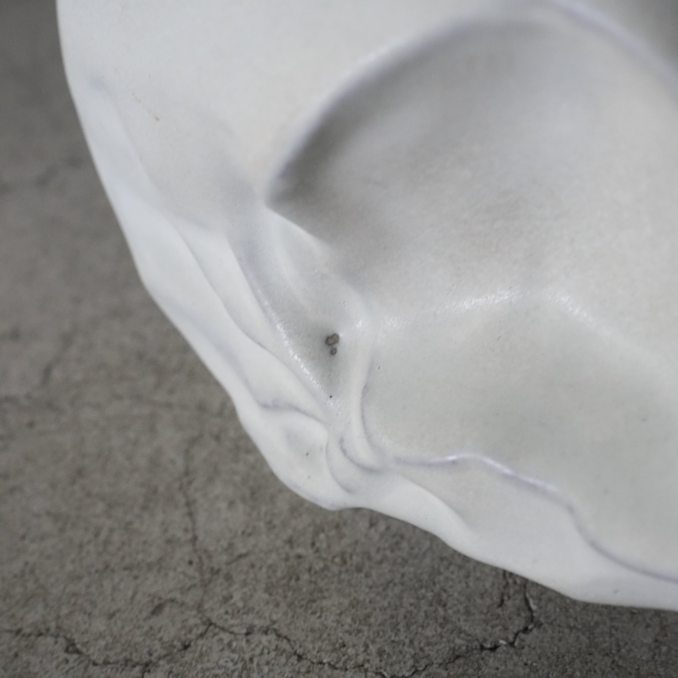 Bird Skull BSK-002-02