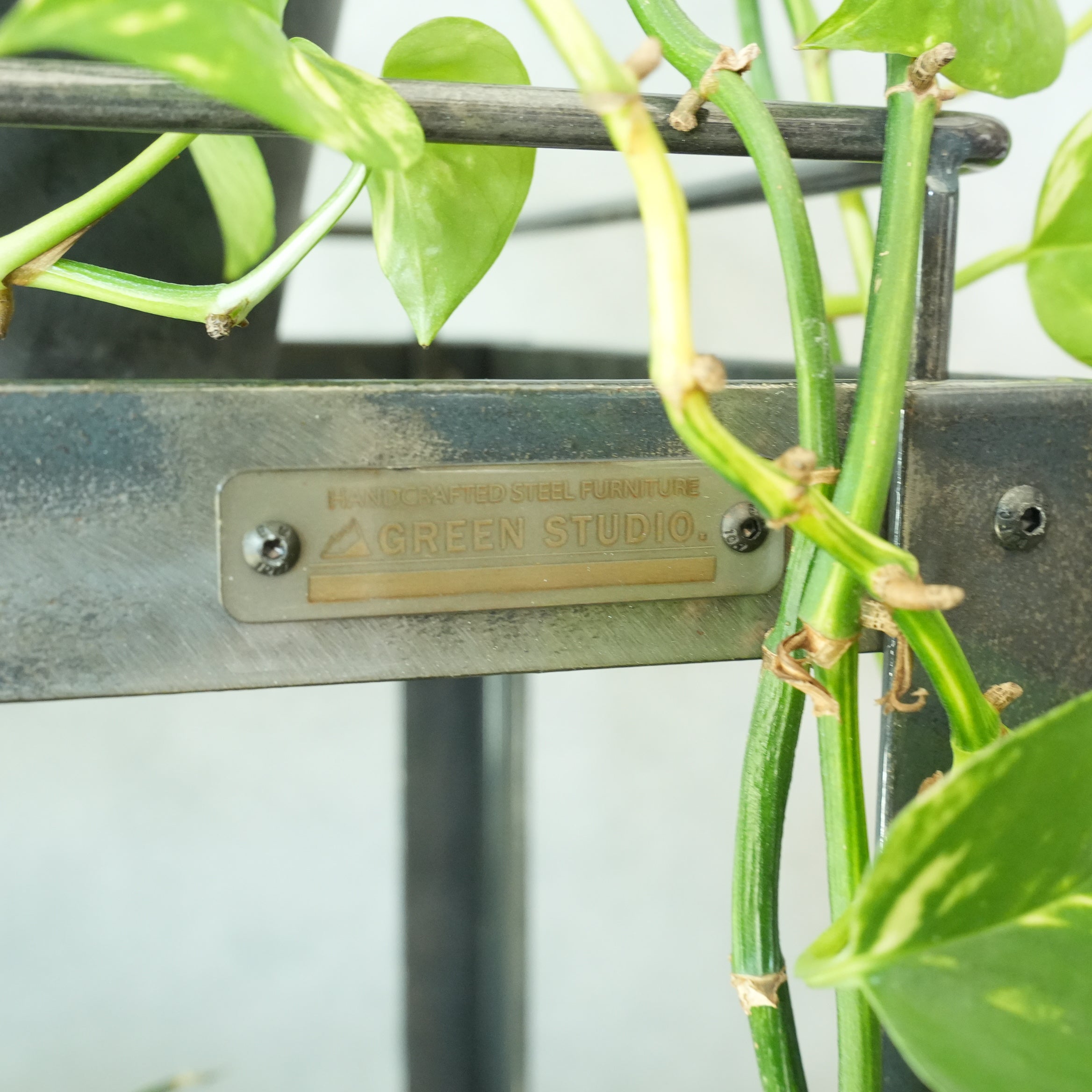 StahL Botanical Wire Rack