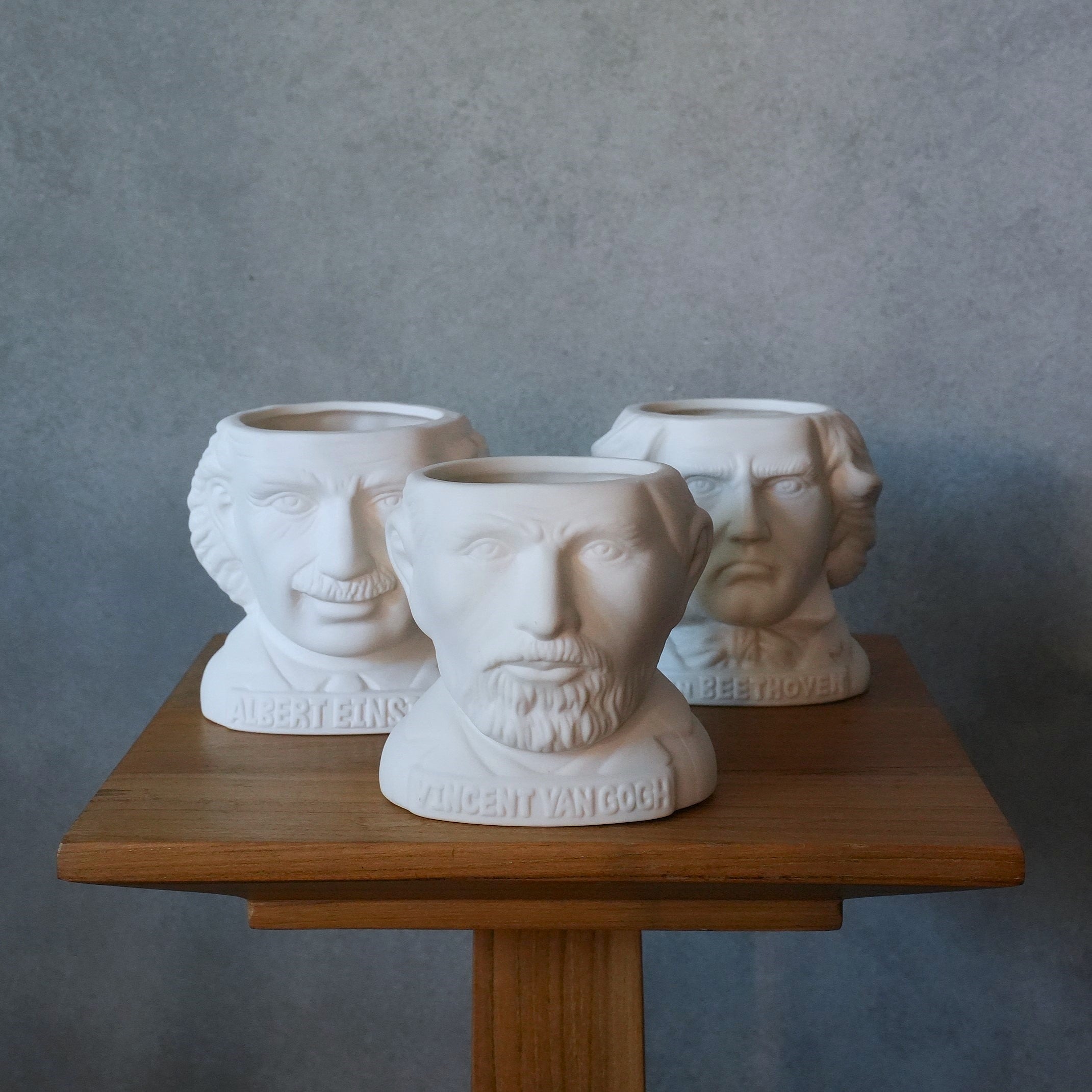 FIRTILE MINDS PLANTERS