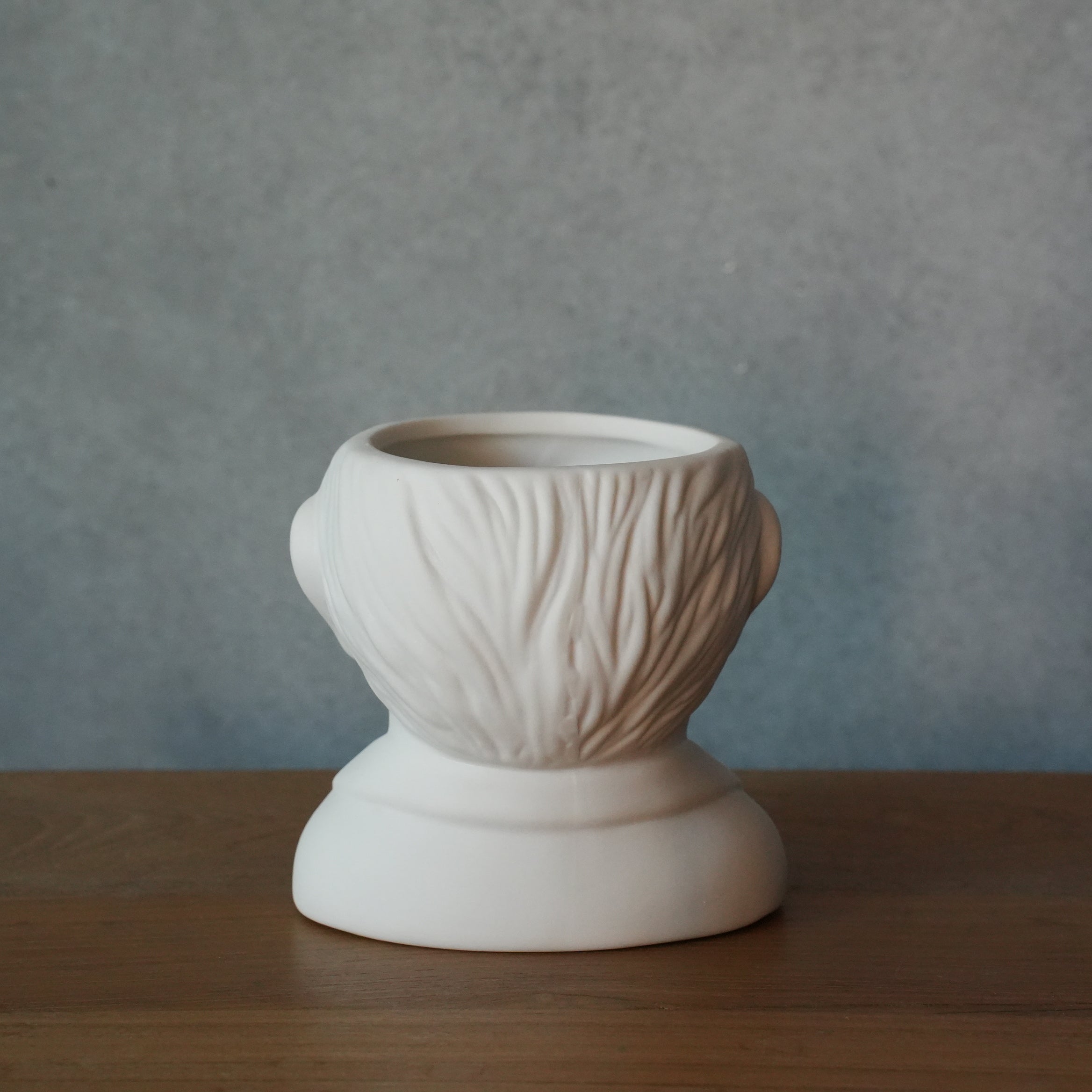 FIRTILE MINDS PLANTERS