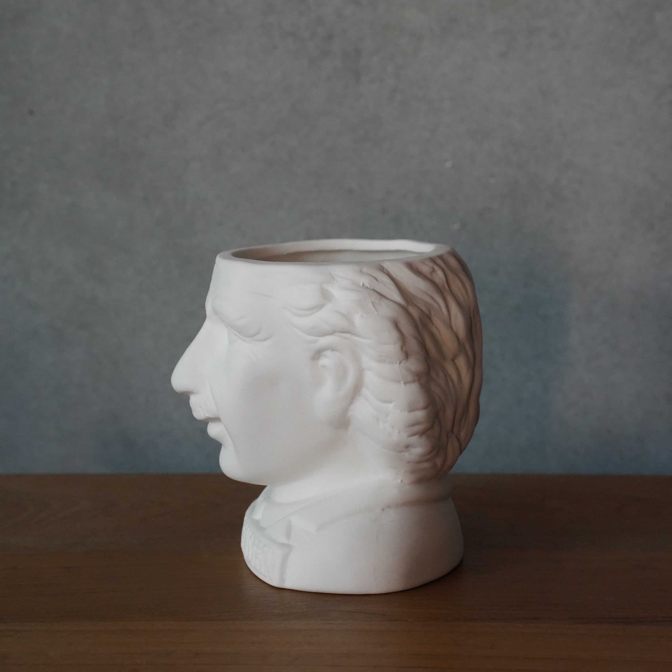 FIRTILE MINDS PLANTERS