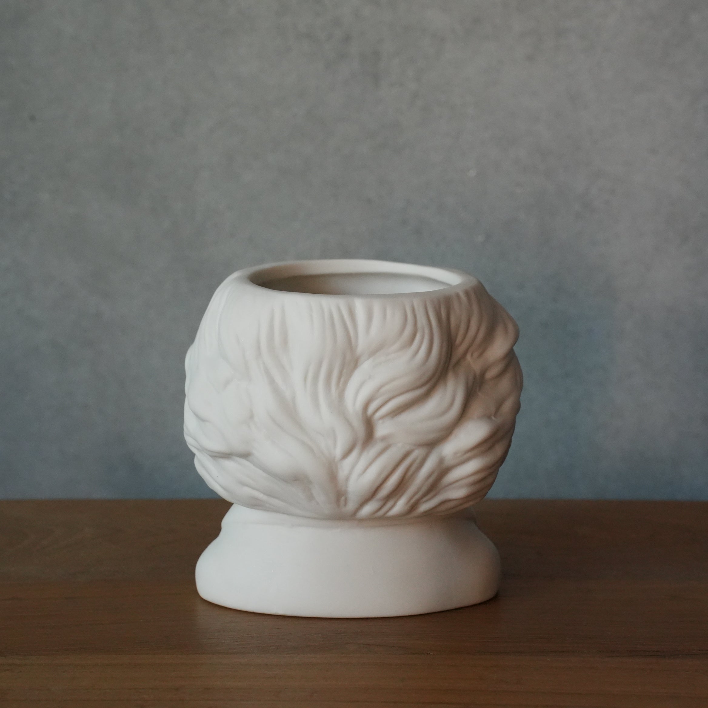 FIRTILE MINDS PLANTERS