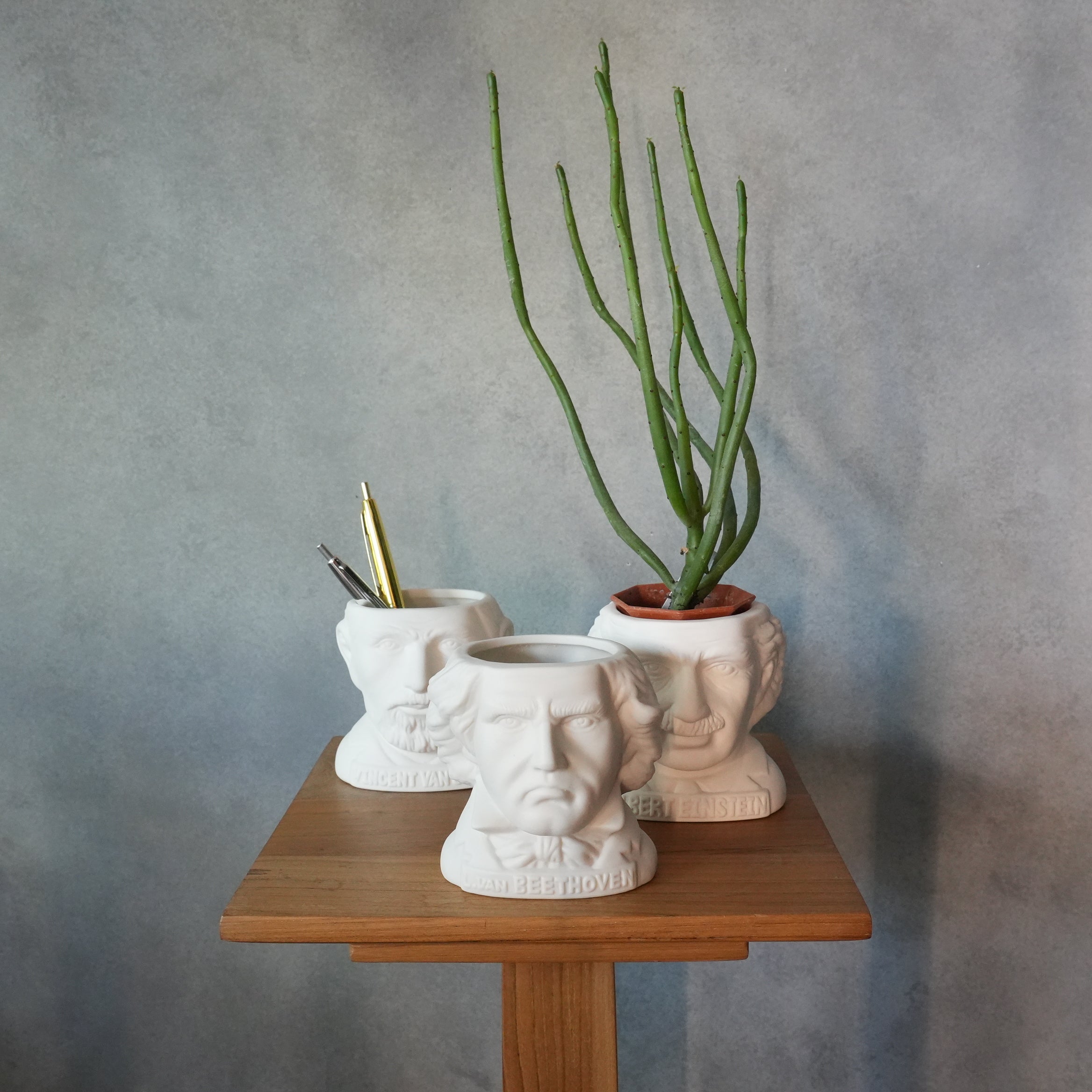 FIRTILE MINDS PLANTERS