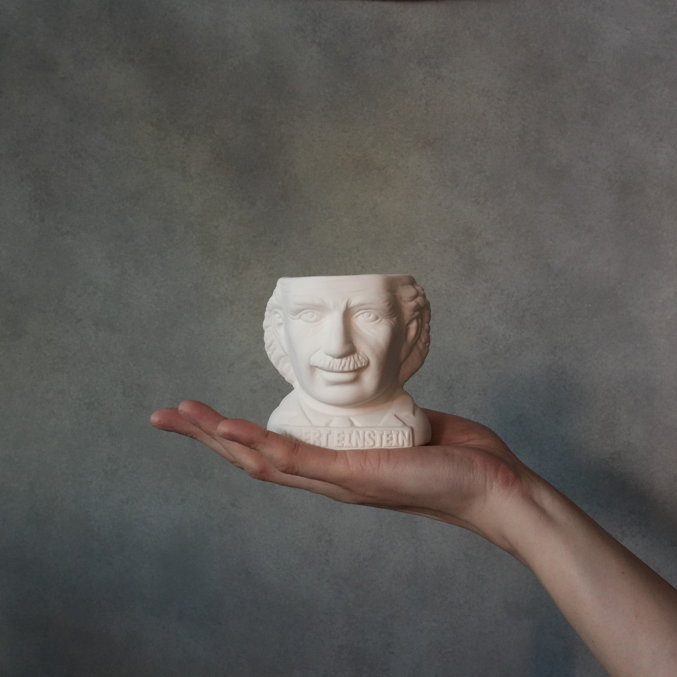 FIRTILE MINDS PLANTERS