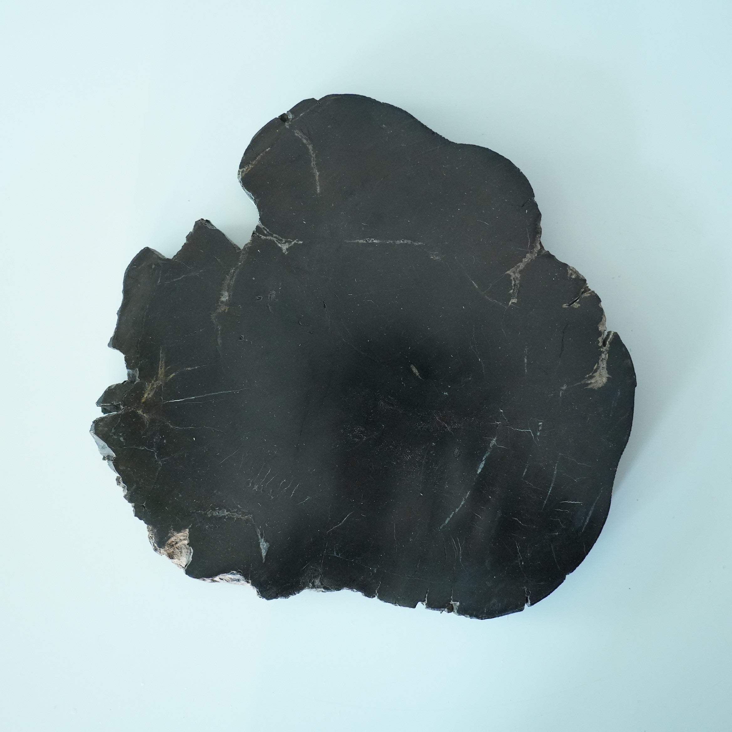 Wood Plate 20 Black A