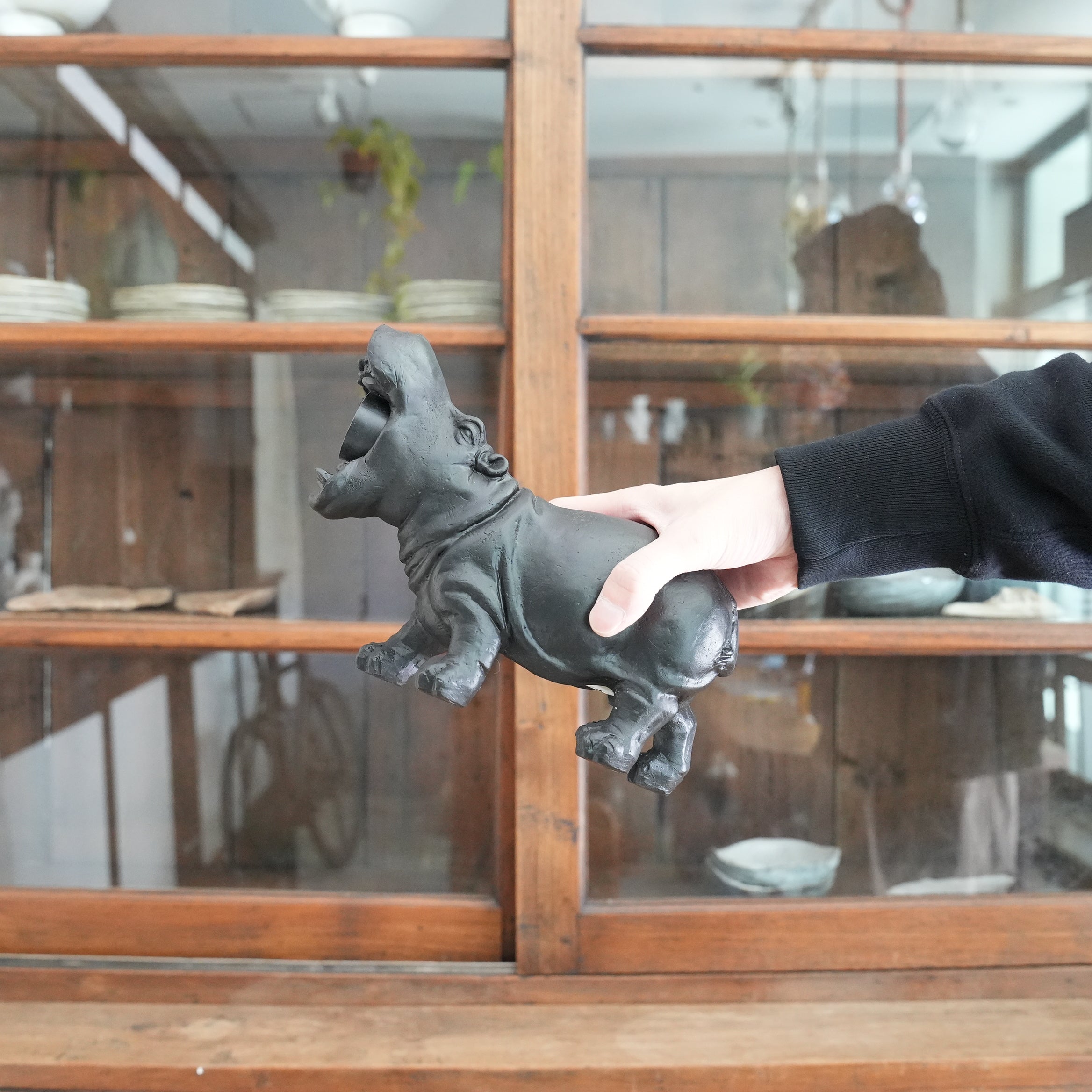 Animal Light Hippopotamus