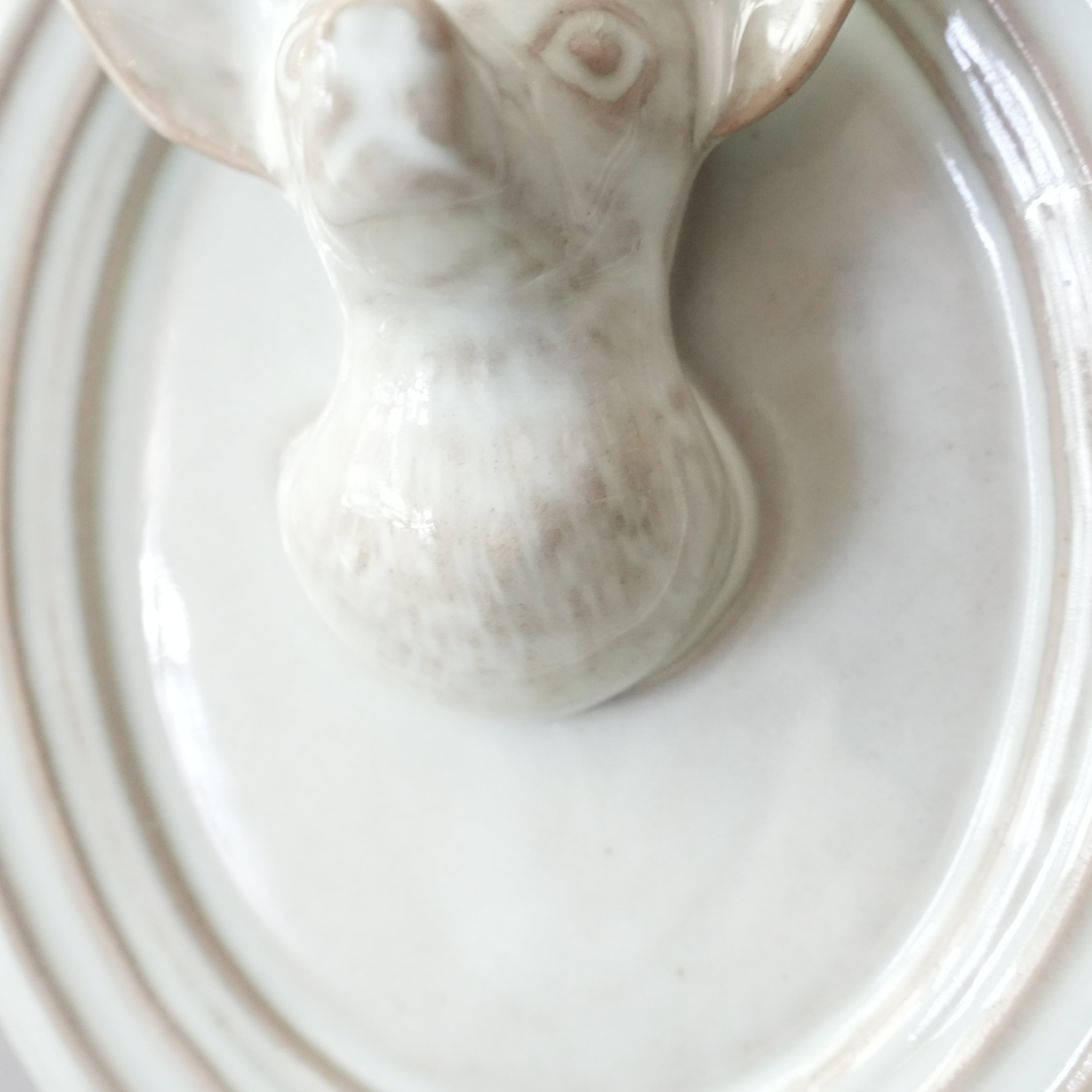 Chihuahua Trophy AH-003