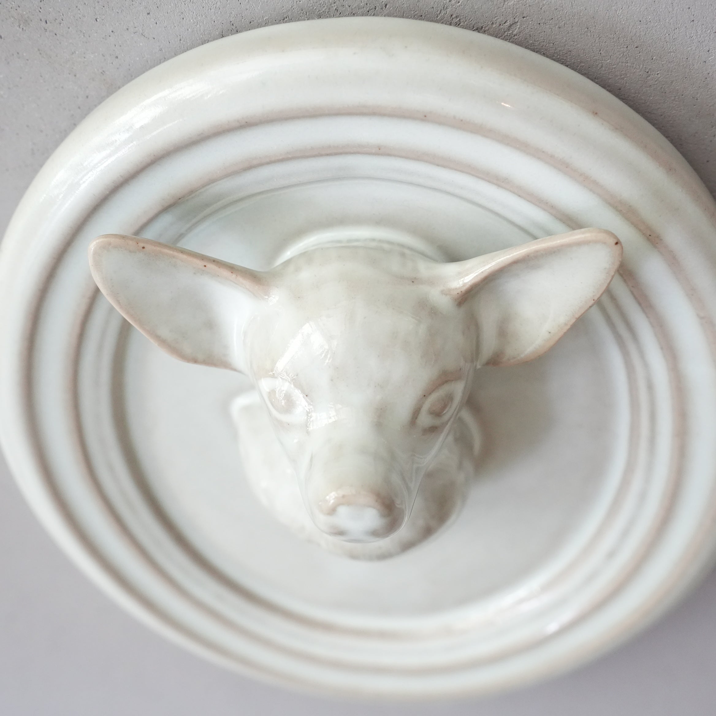 Chihuahua Trophy AH-003