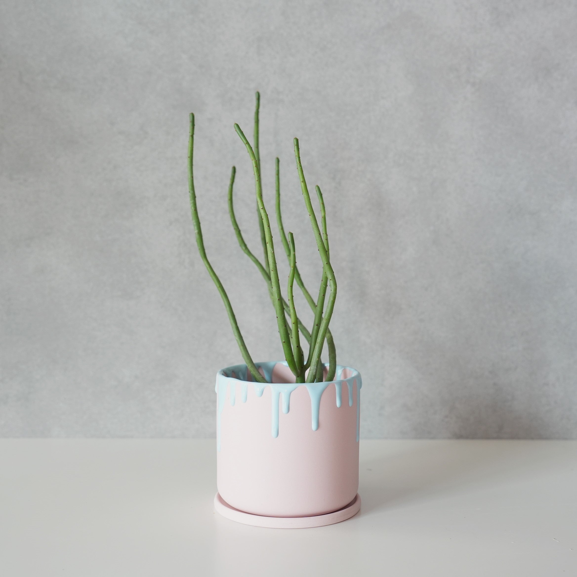 Drina Pot