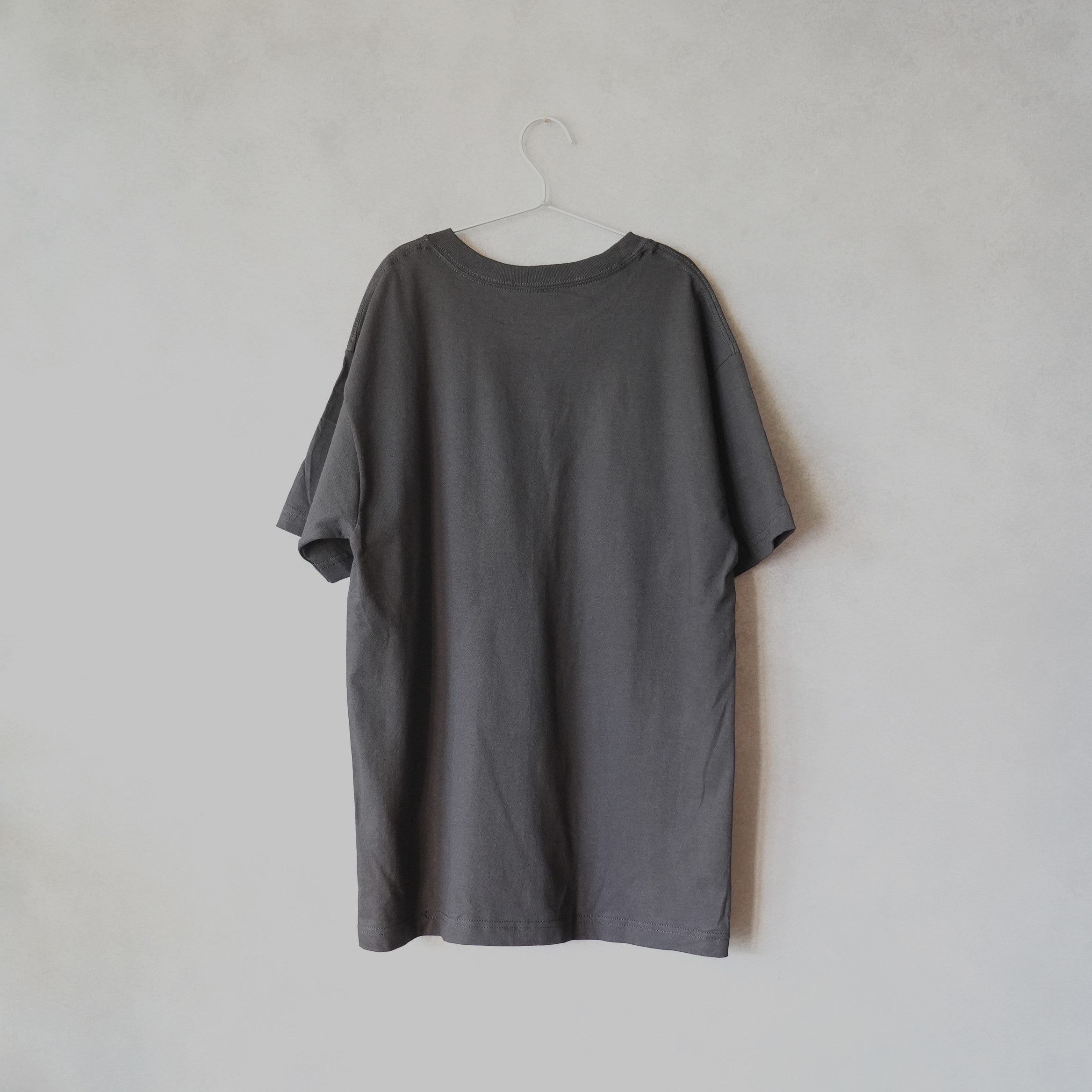 EINSTEIN SIMPLIFIED Tee