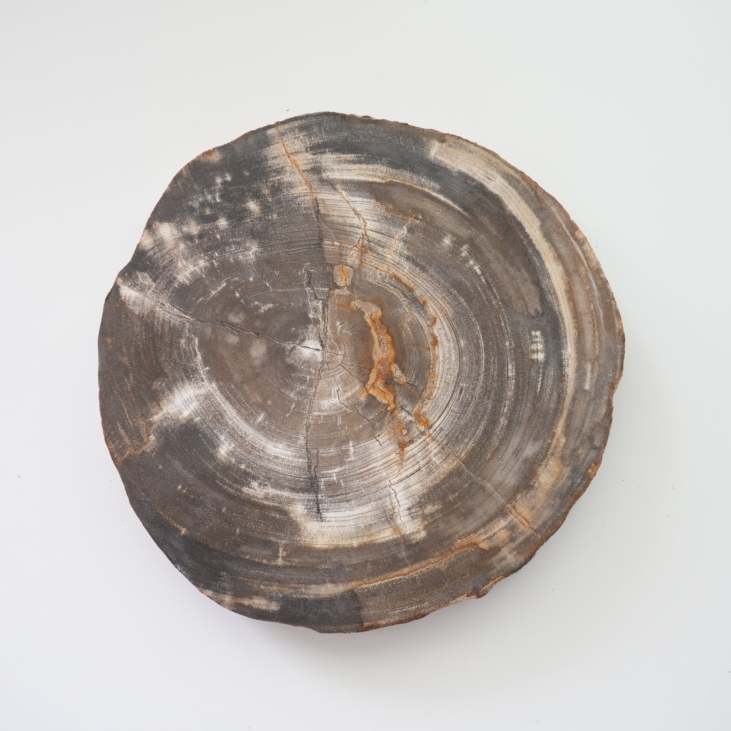 Wood Plate 20 Natural B