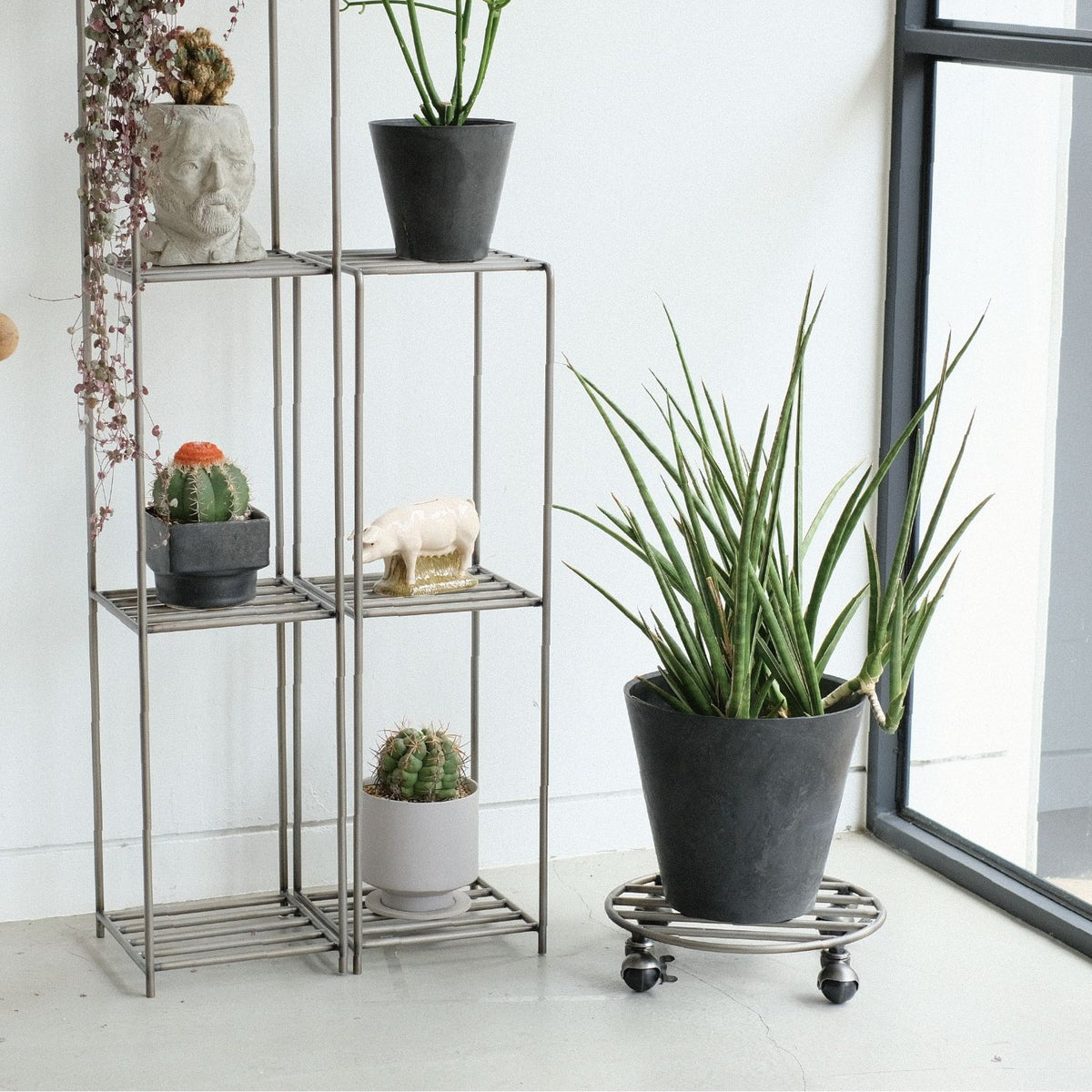 KNOP PLANT CADDY