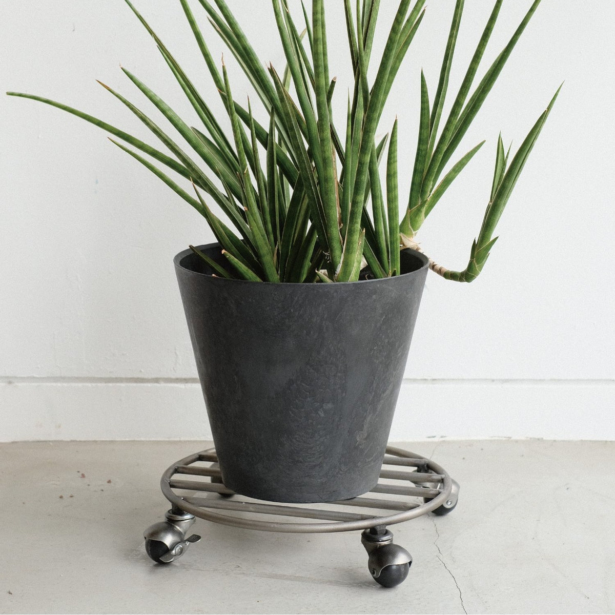 KNOP PLANT CADDY