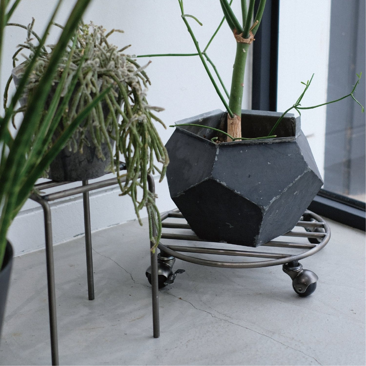 KNOP PLANT CADDY