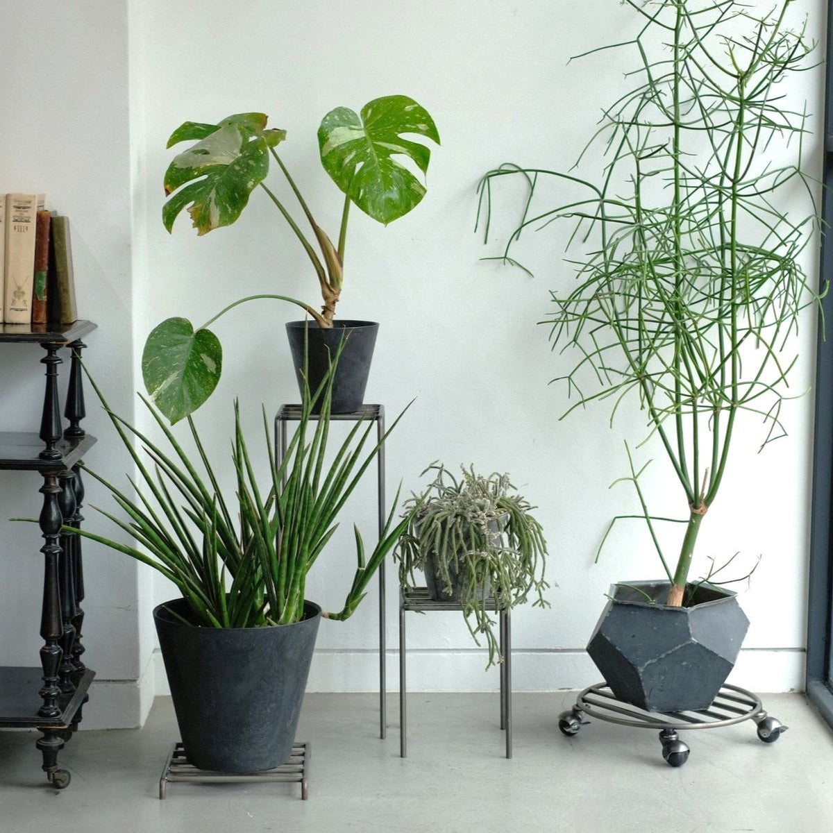KNOP LOW STANDS