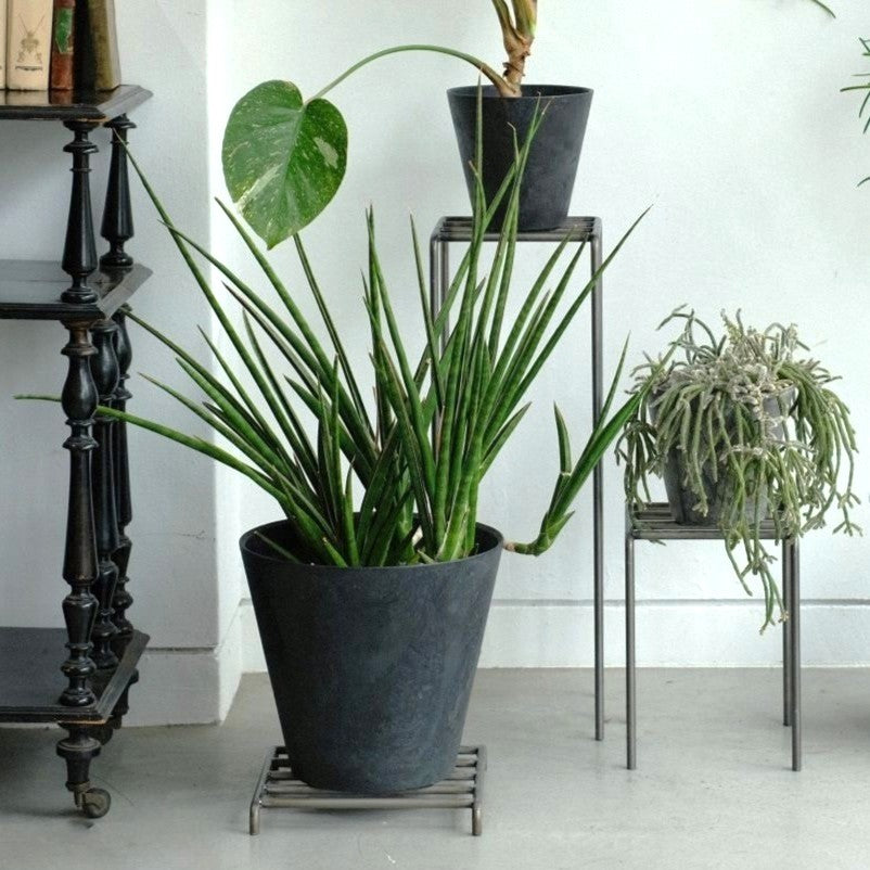 KNOP LOW STANDS