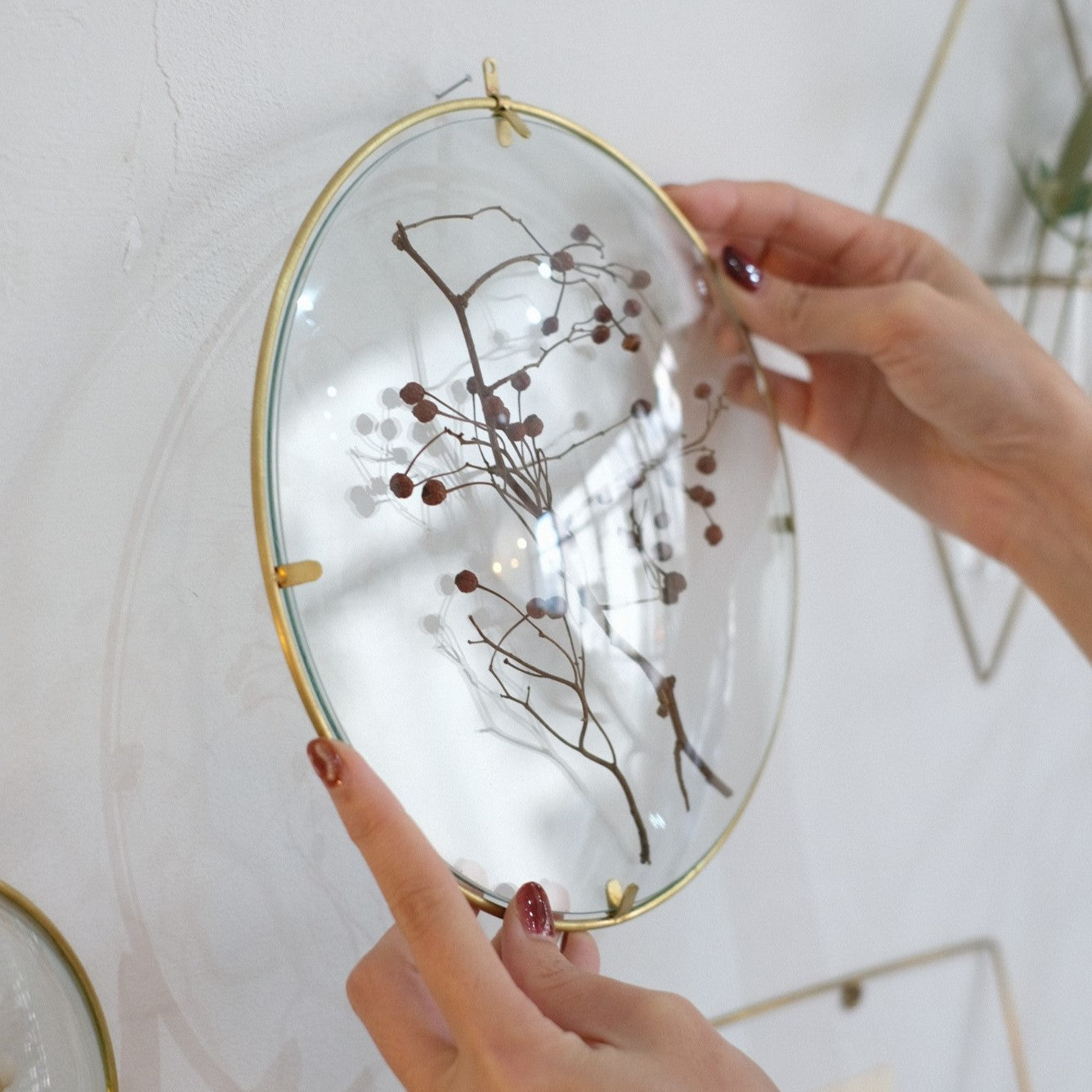 PIKE glass dome frame