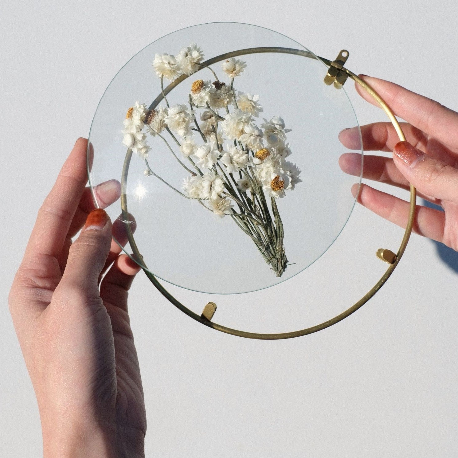 PIKE glass dome frame