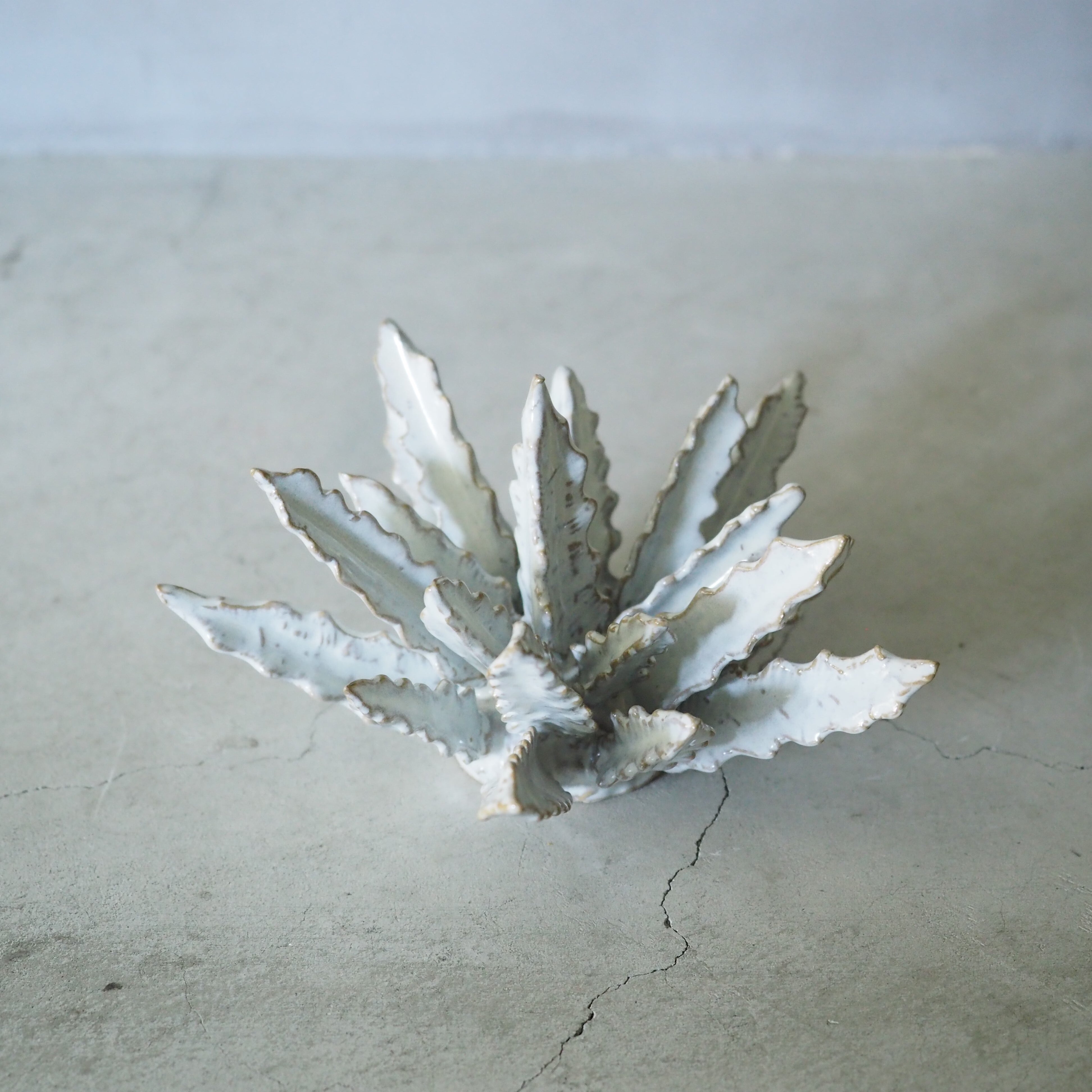 Urchin Star II OC-008