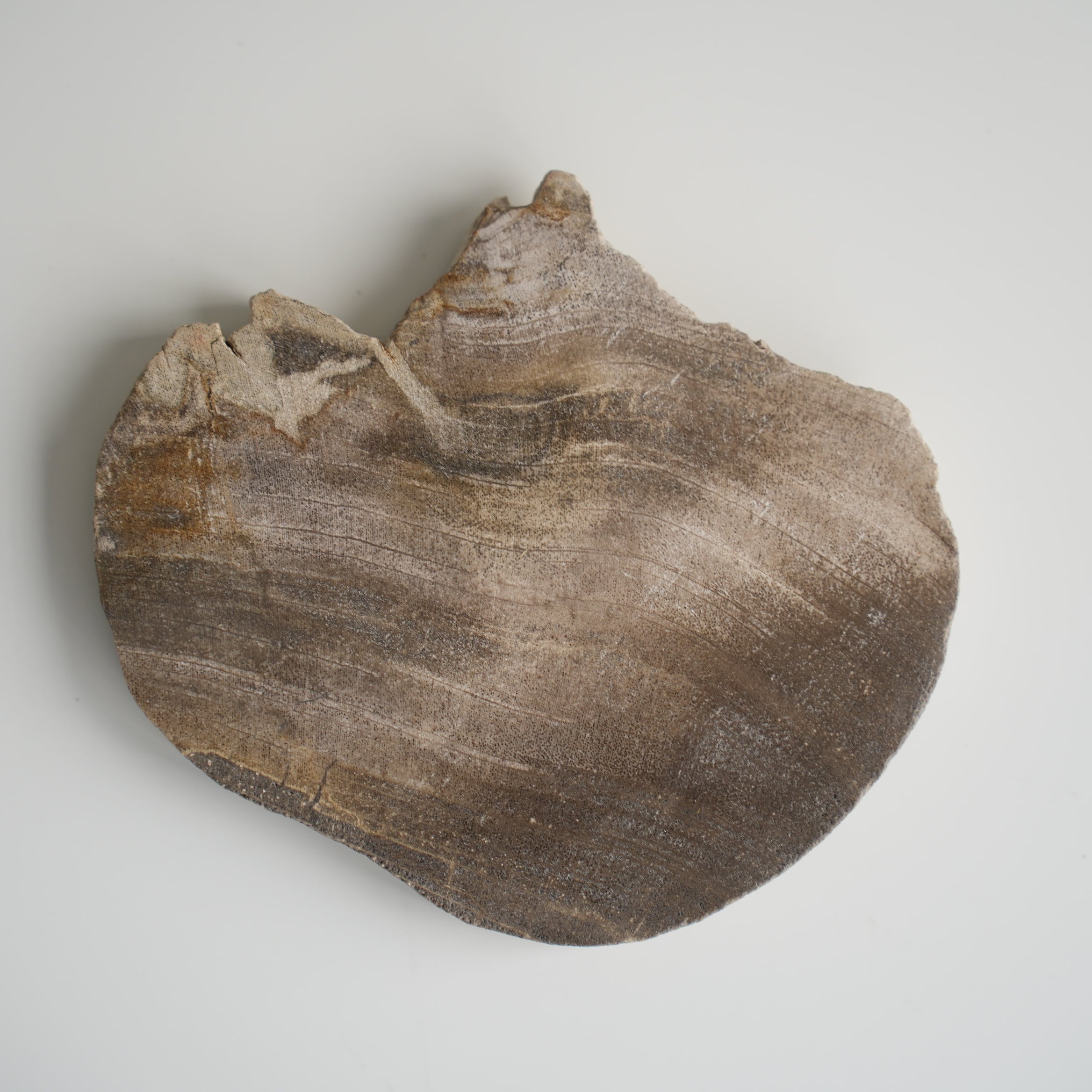 Wood Coaster Natural