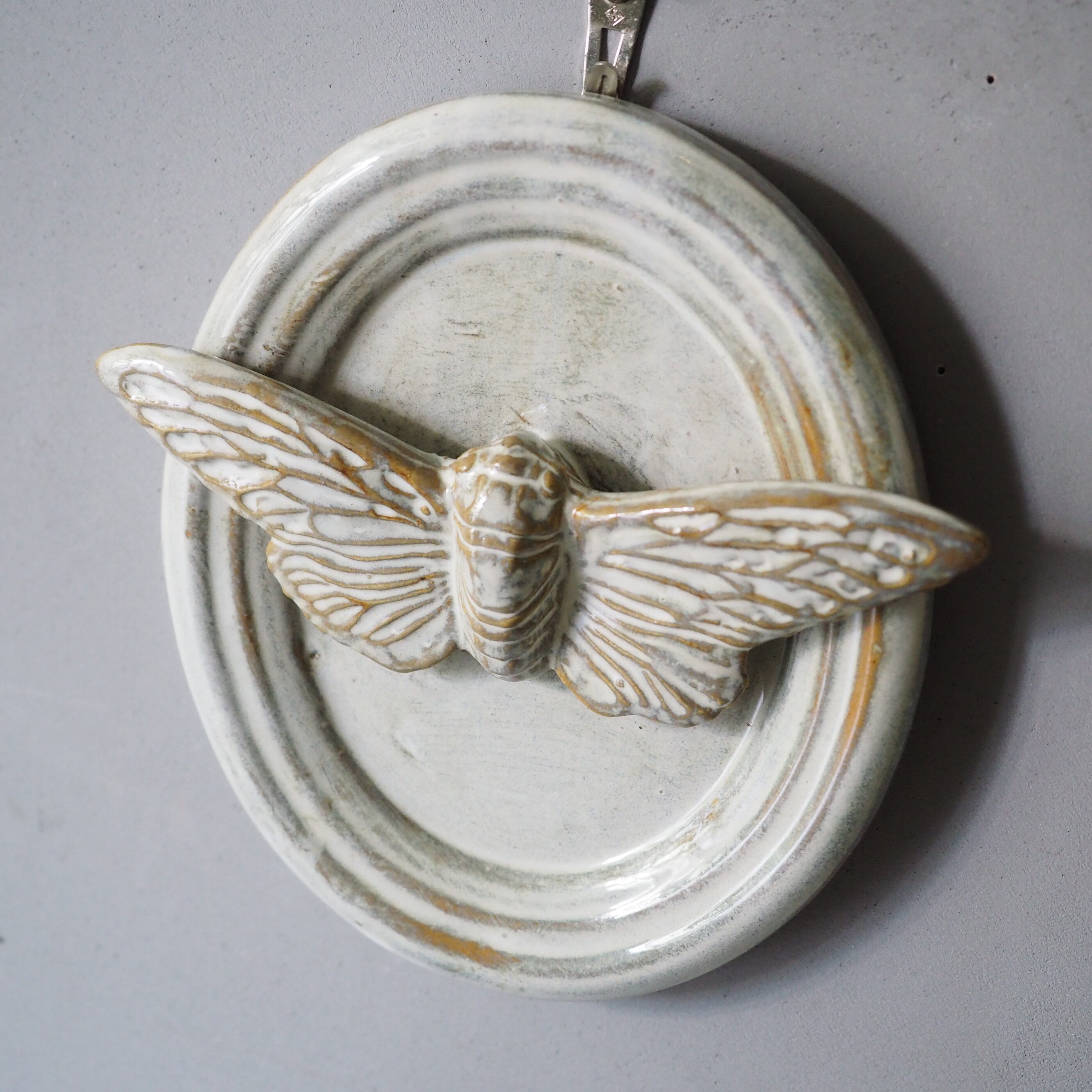 Cicada Trophy AH-016