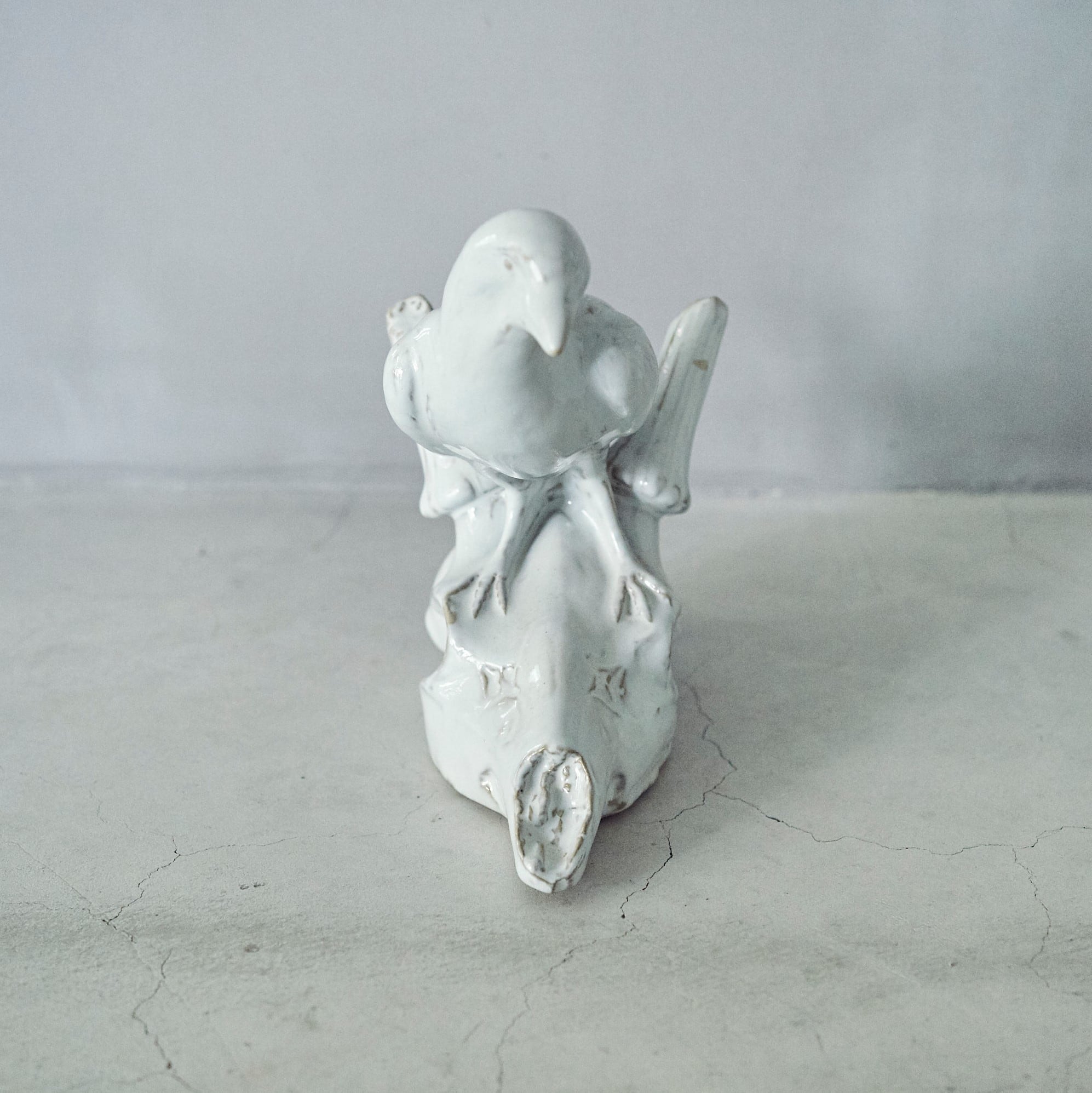 Crow & Deer Skull SC-009