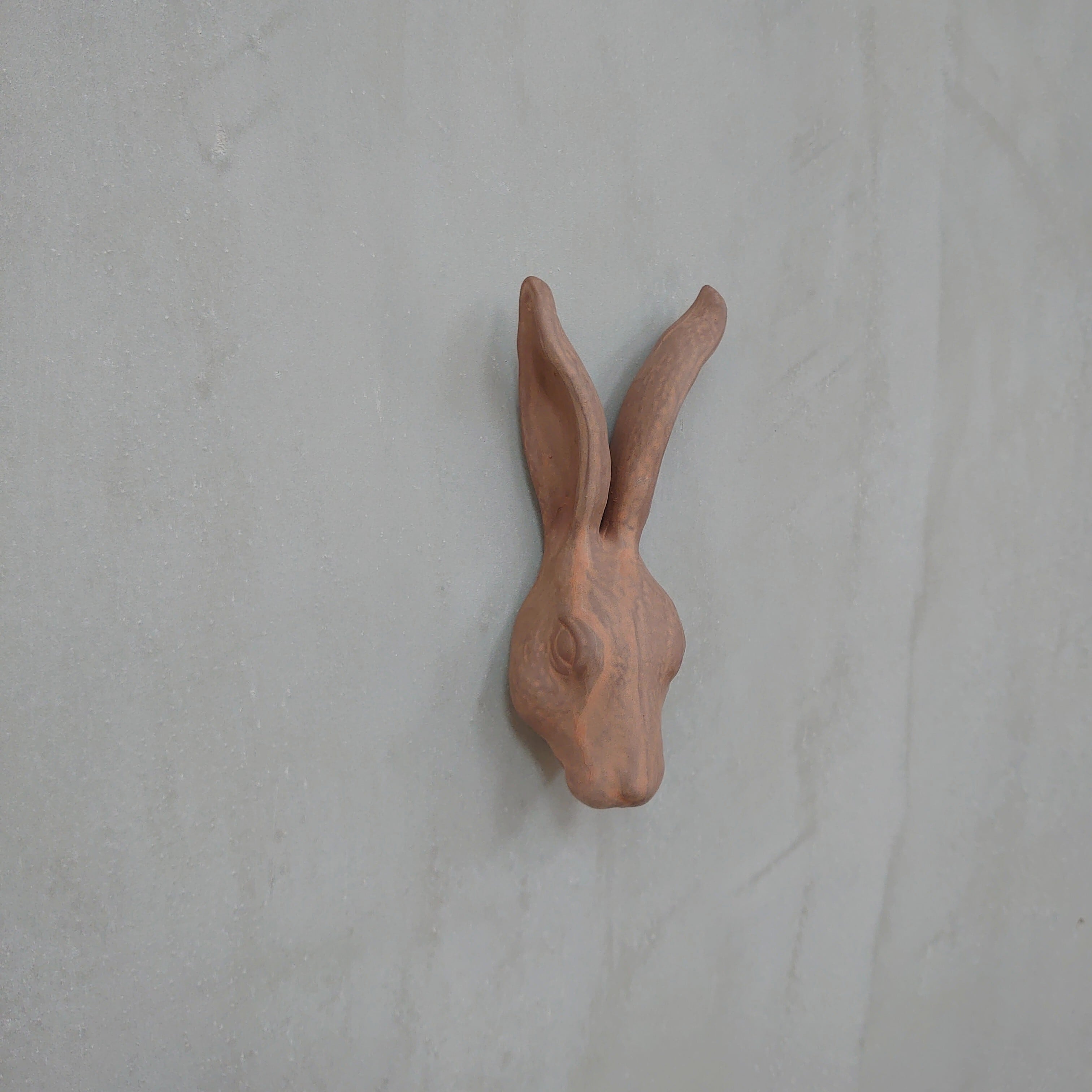 Hare Hook Brown KN-025H-20