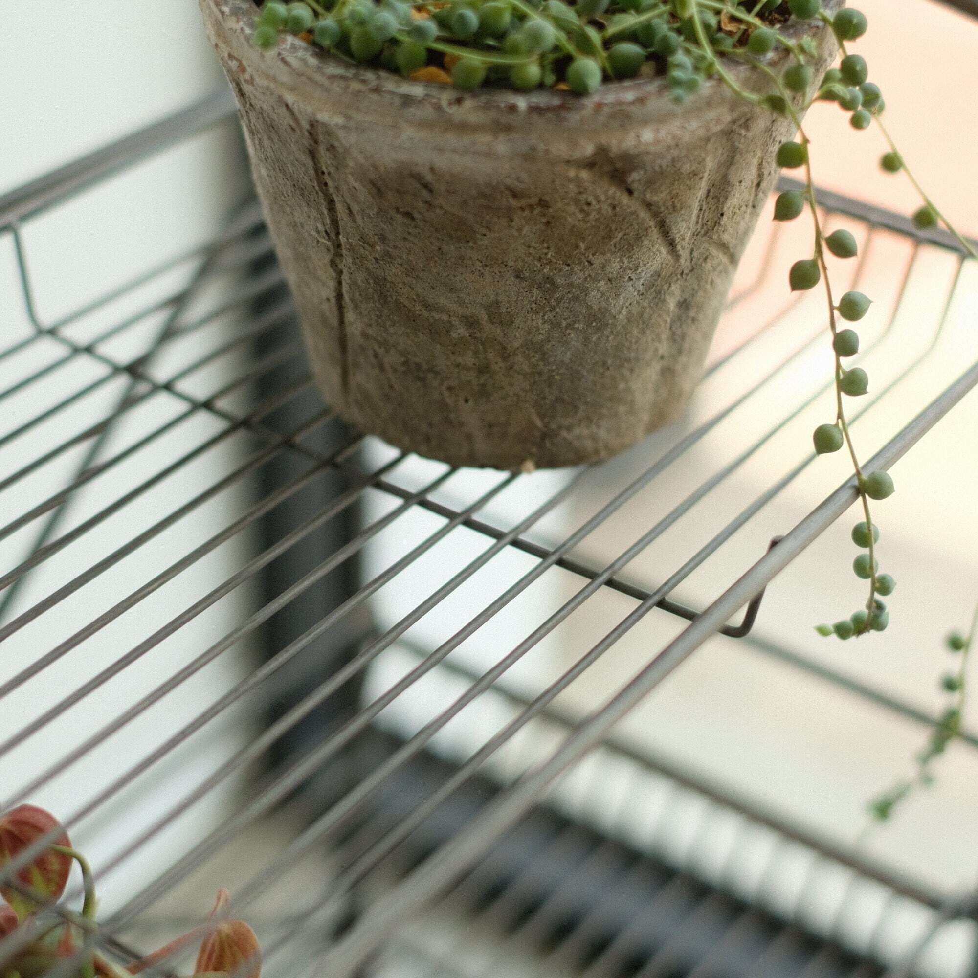 HABANA Folding Shelf LL