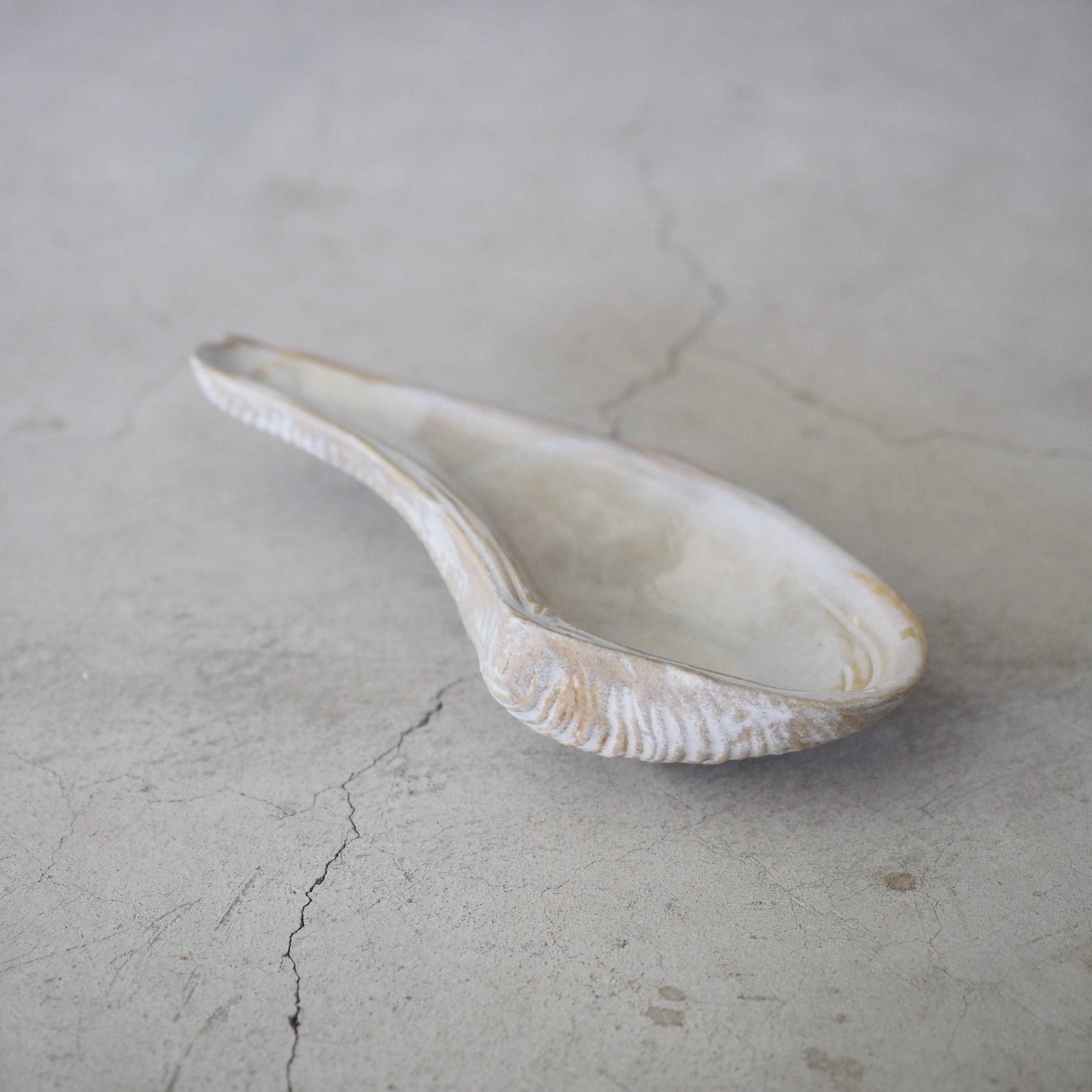 Horseshoe Shell OCT-038