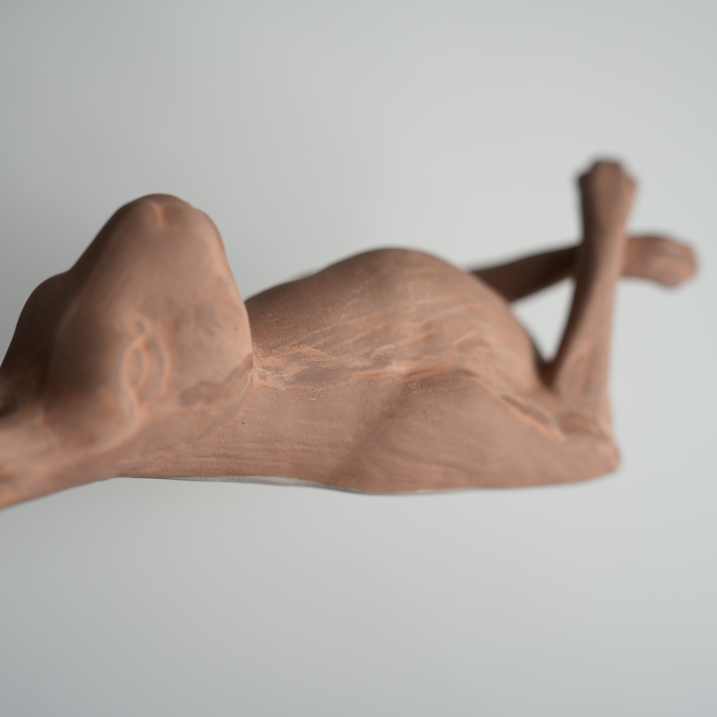 Curious Hare Hook Brown KN-026H-20