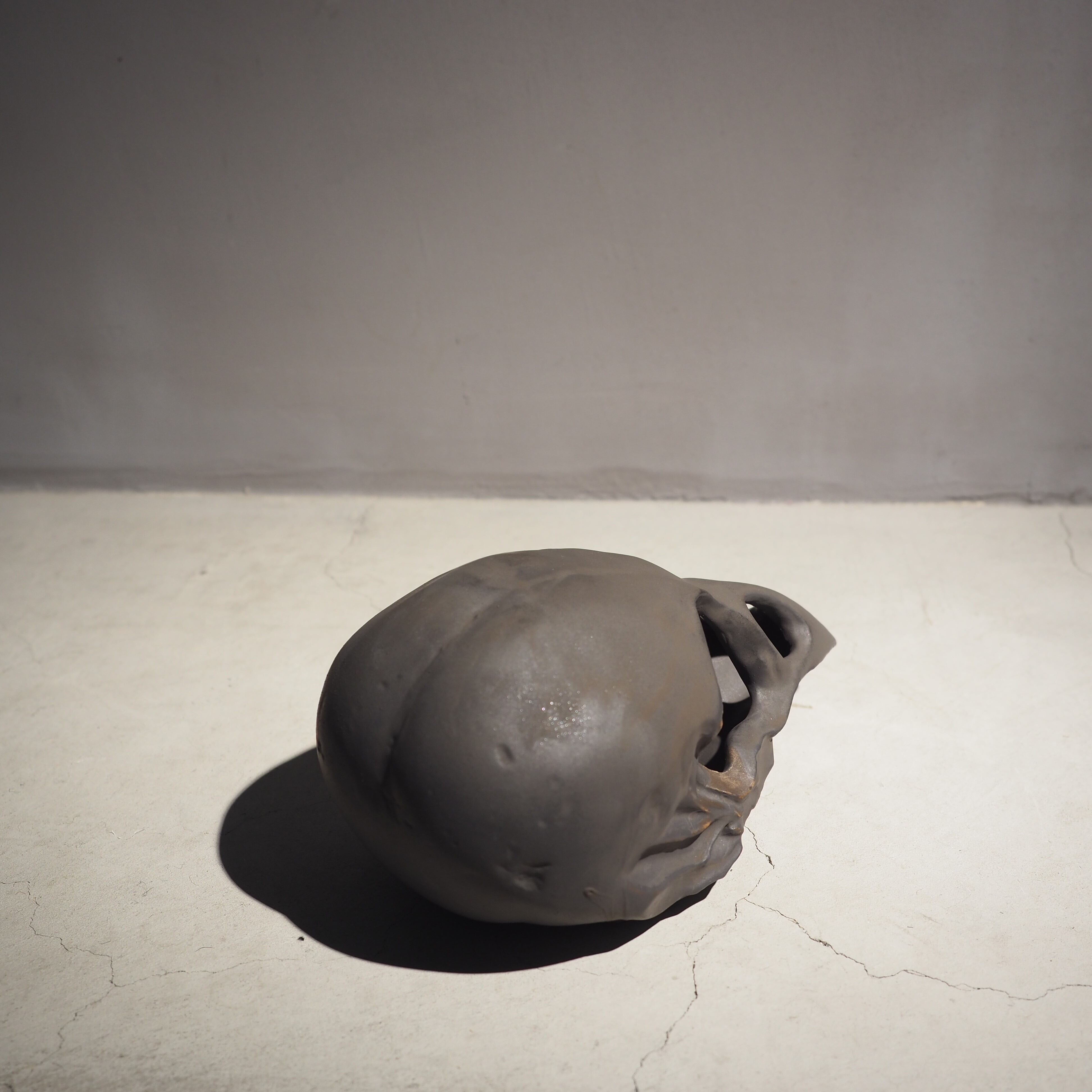 Bird Skull Eye Socket BK BSK-001-04