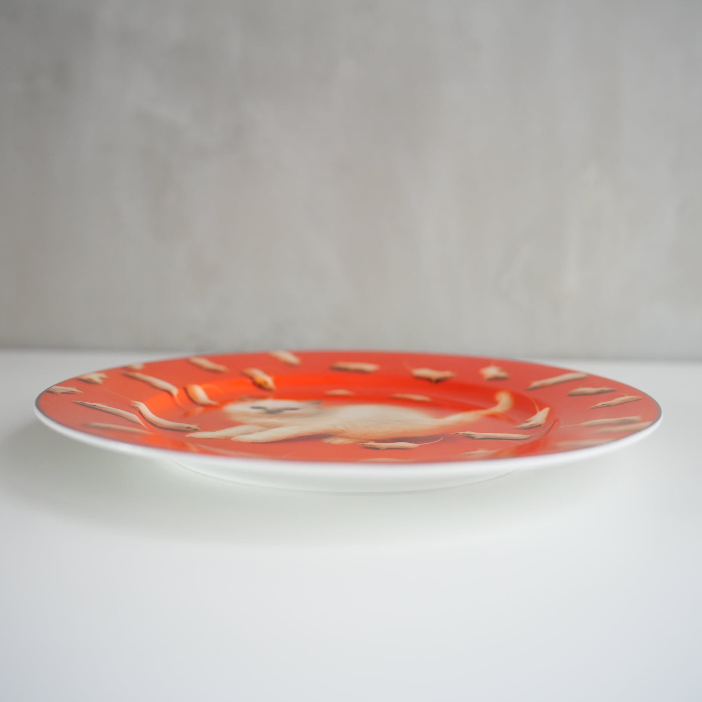 ポーセリンプレート KITTEN