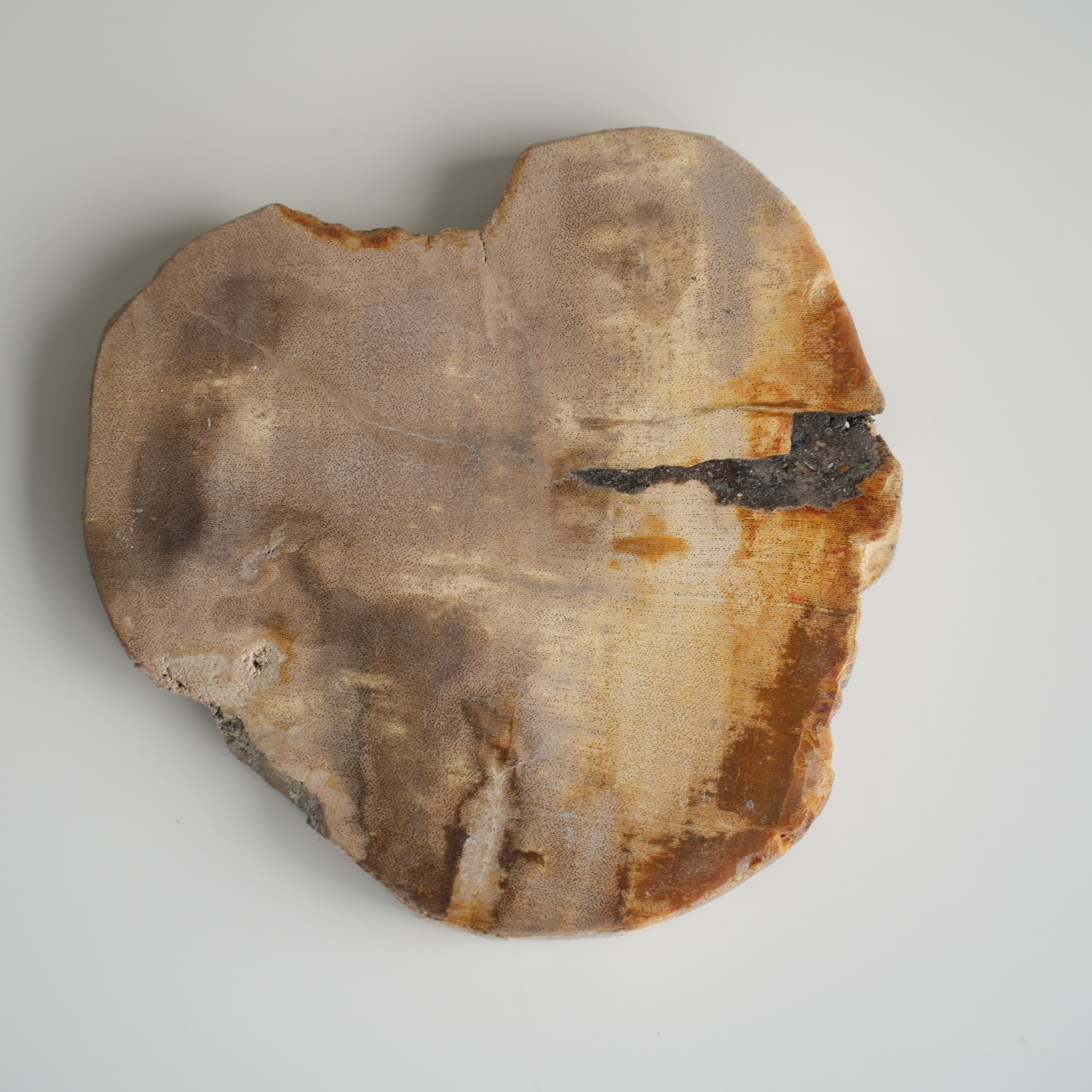 Wood Coaster Natural