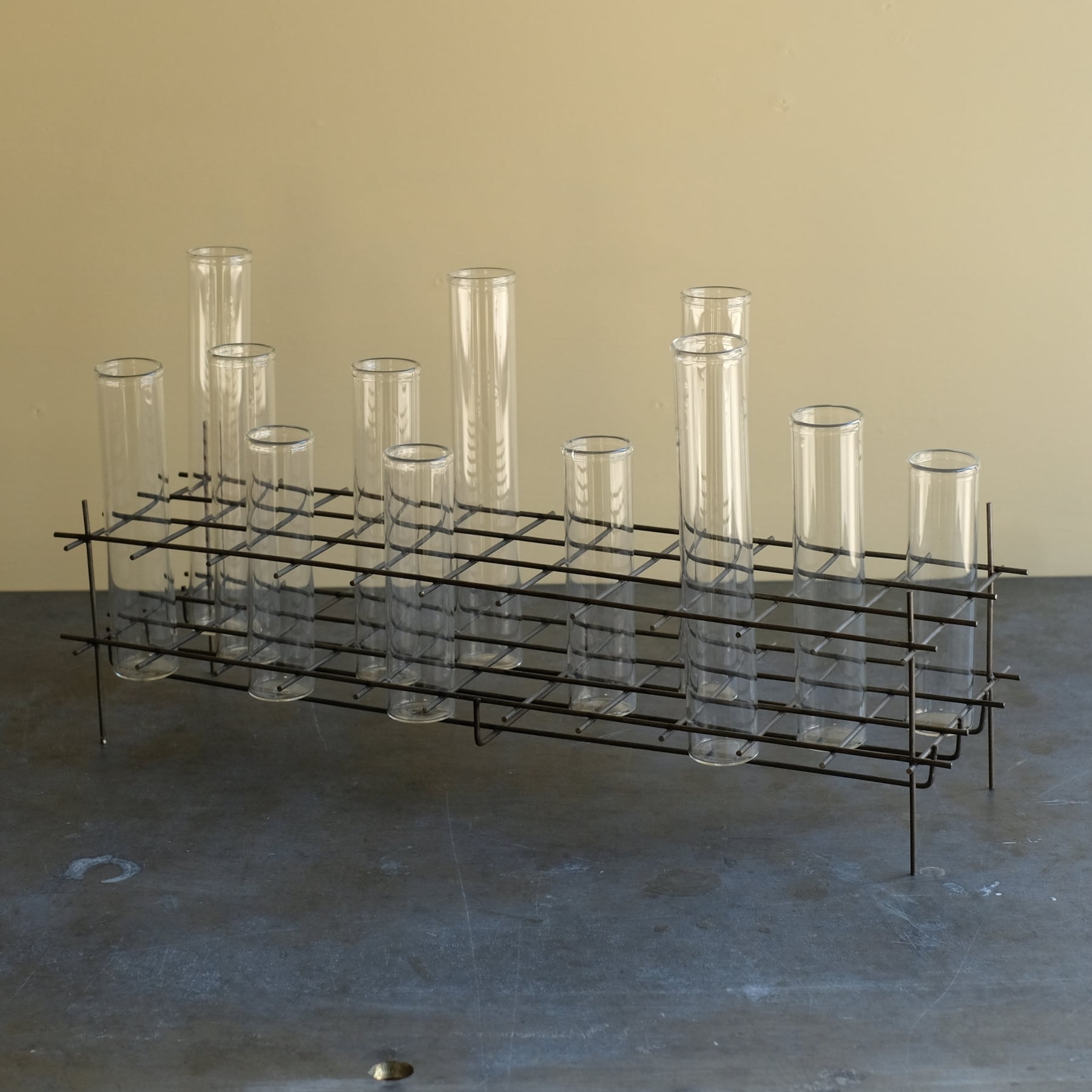 BIRD'S NEST L GLASS TEST TUBE VASE