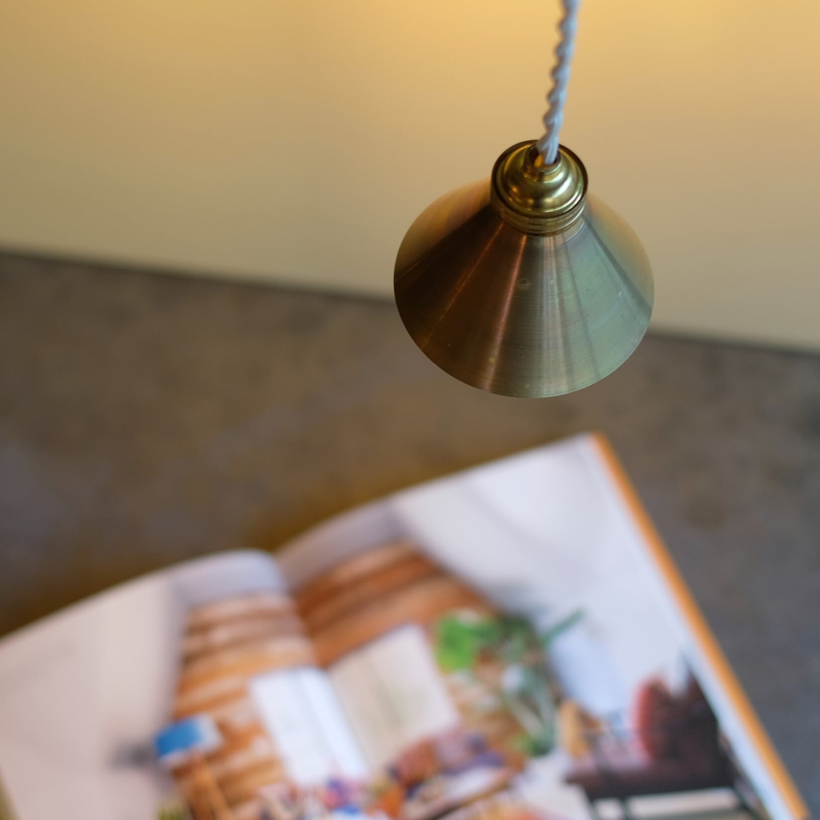Branch Bit Pendant Lamp