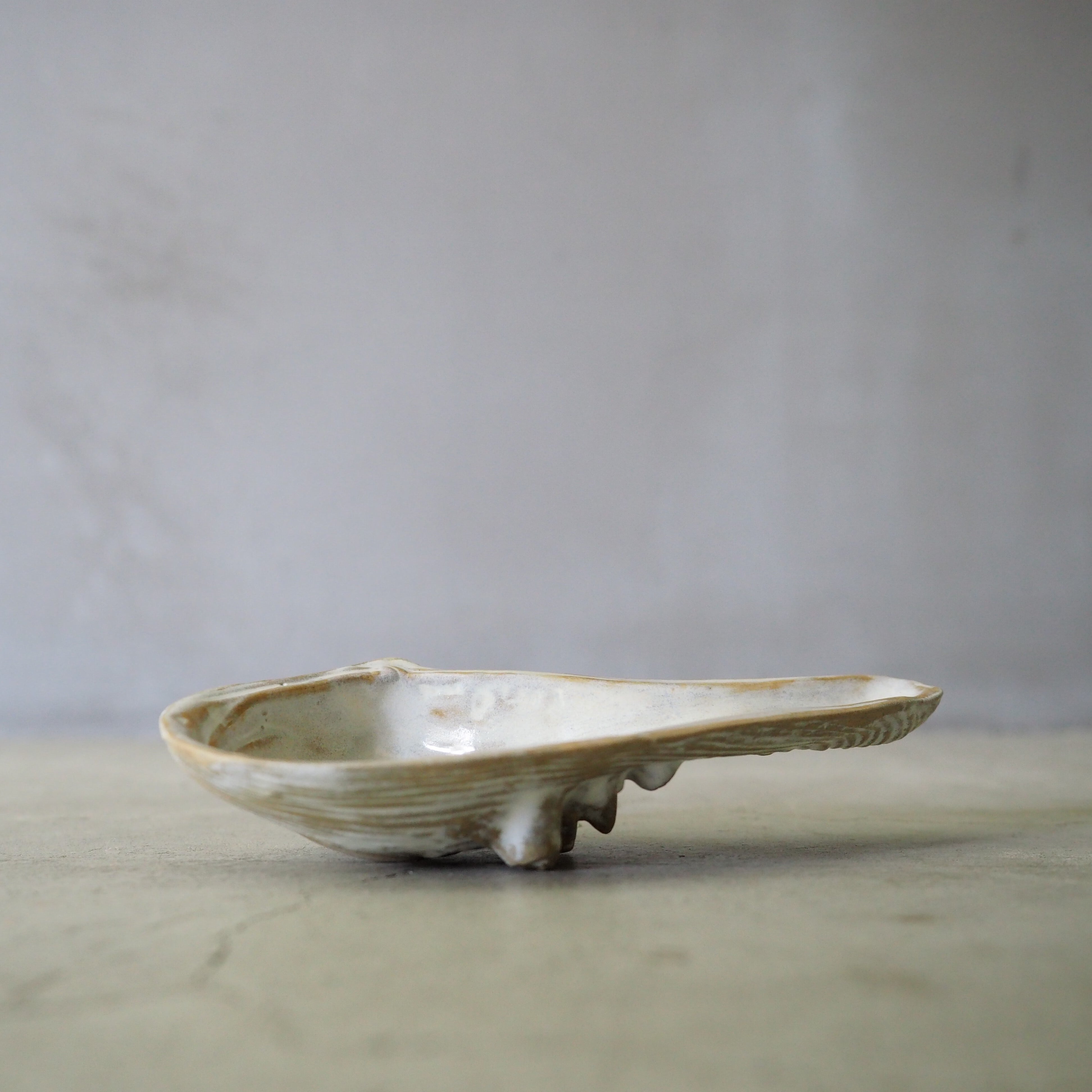 Horseshoe Shell OCT-038