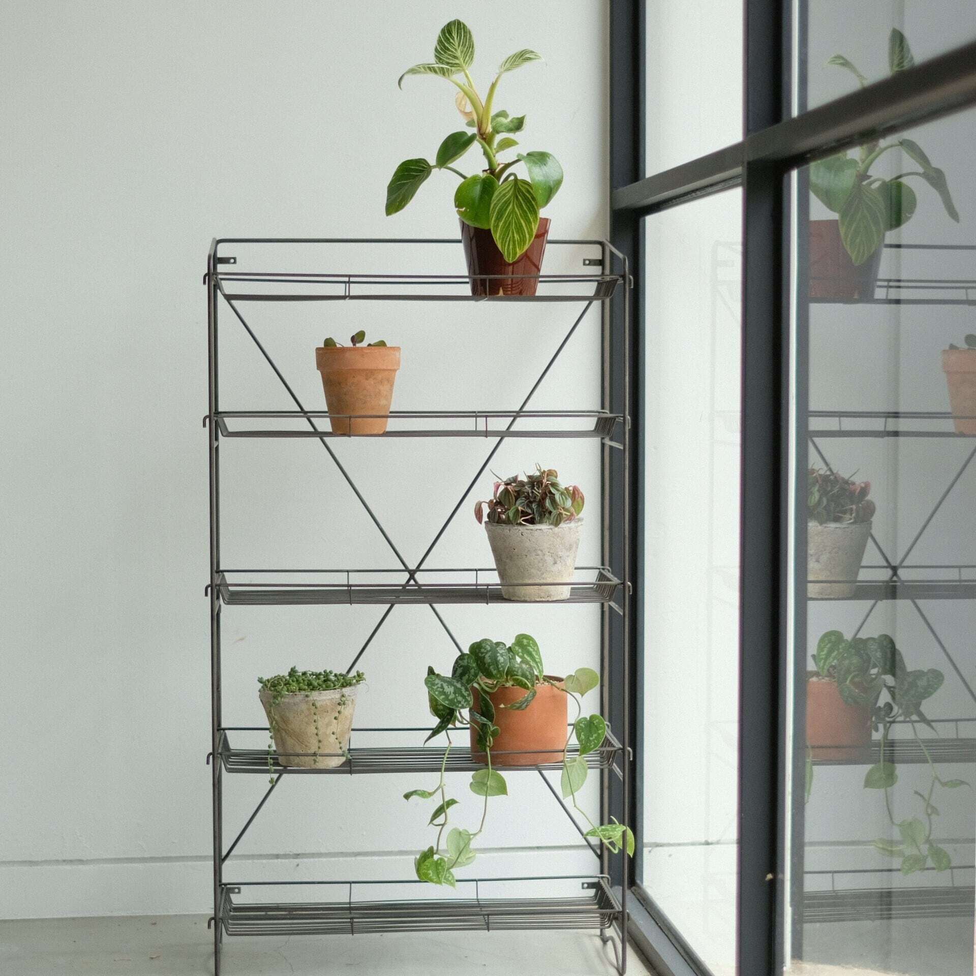 HABANA Folding Shelf LL