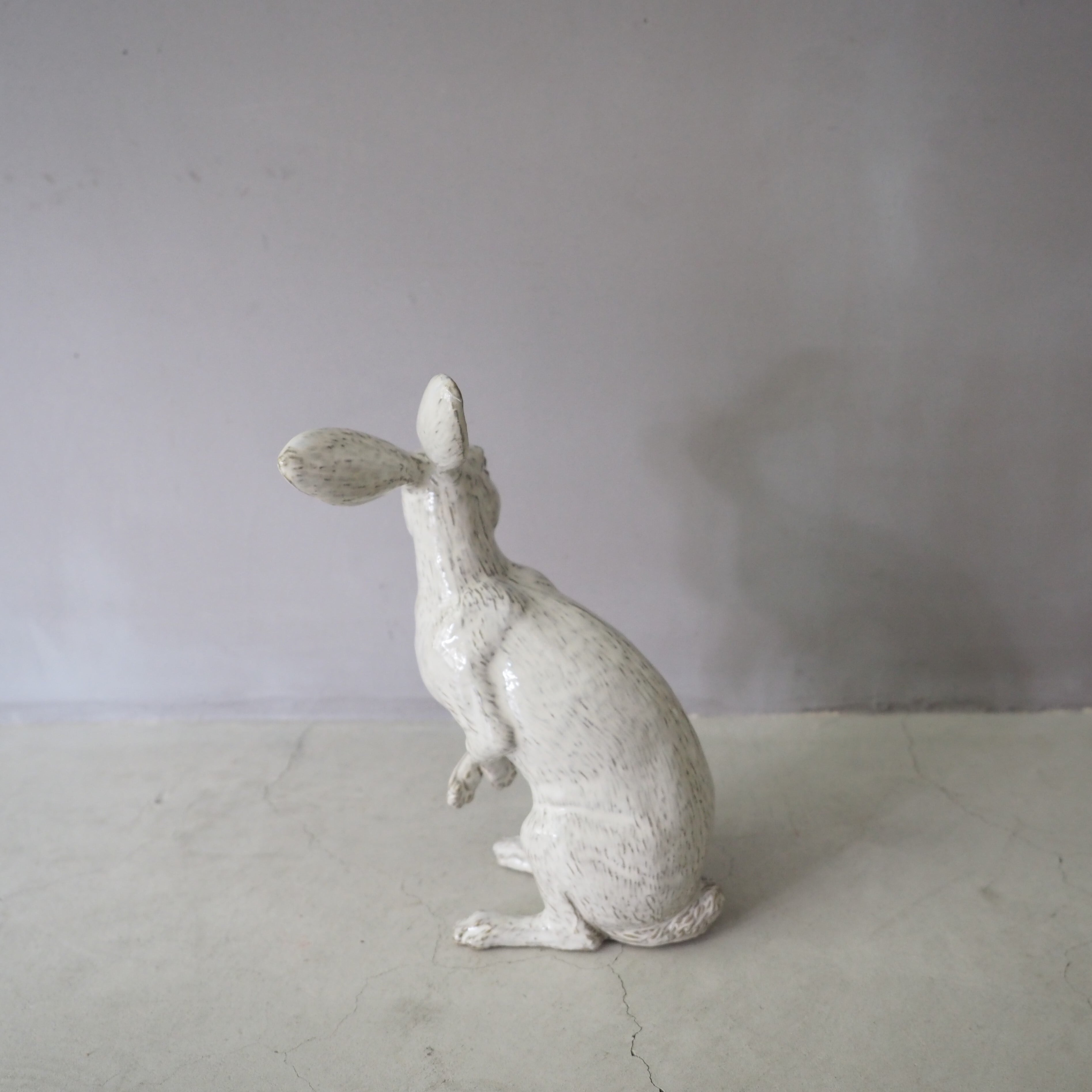 Curious Hare White PP-023-05