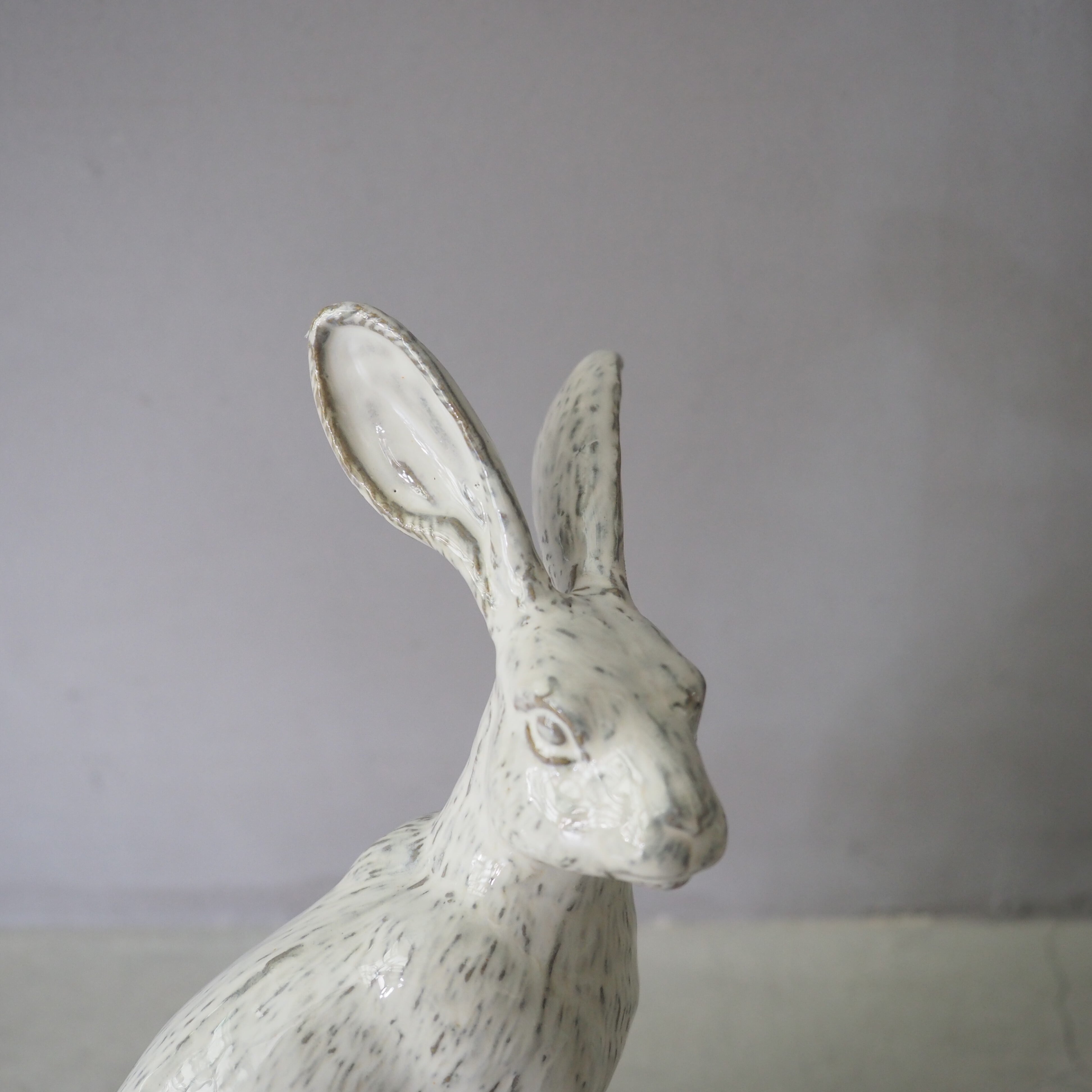 Curious Hare White PP-023-05