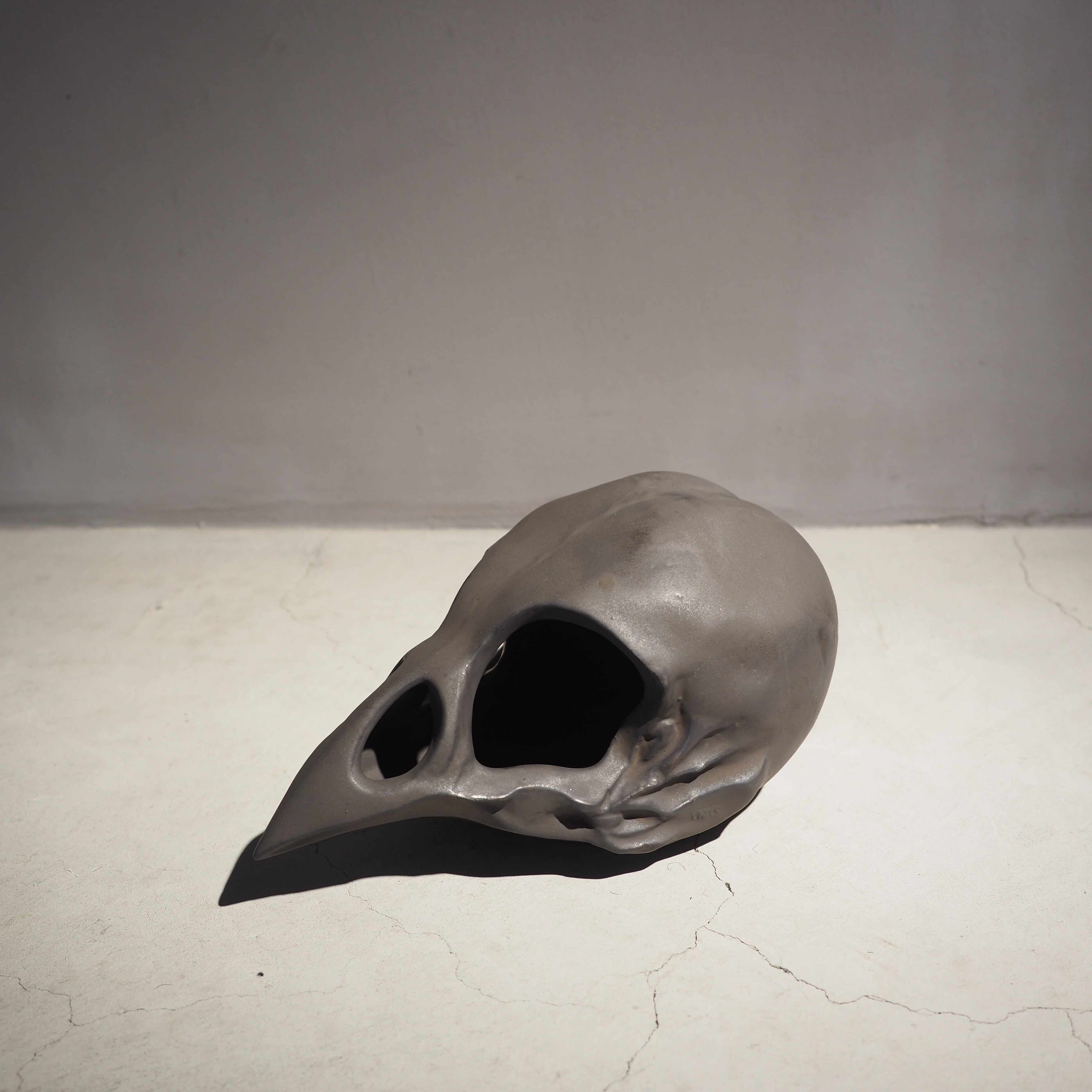 Bird Skull Eye Socket BK BSK-001-04