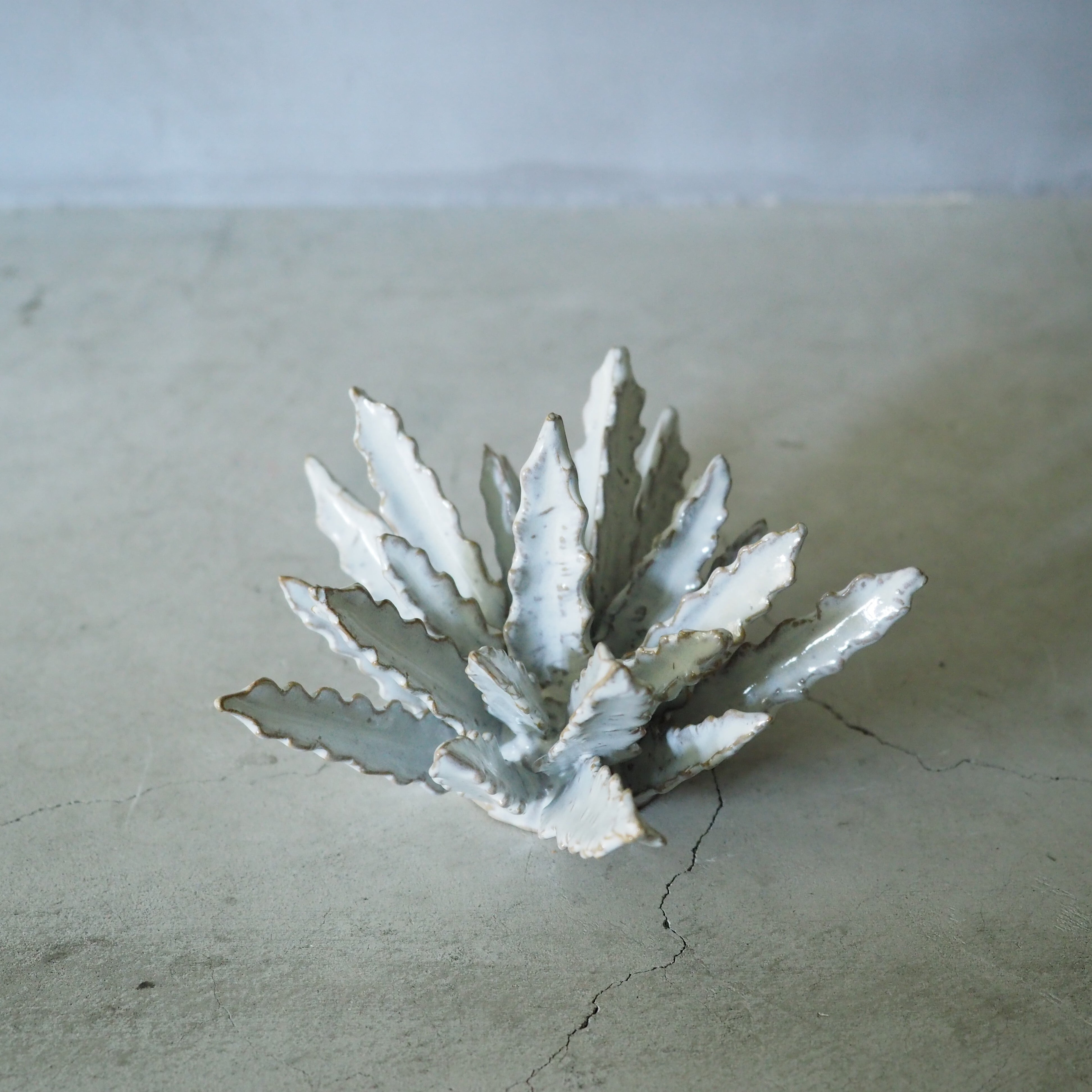 Urchin Star II OC-008