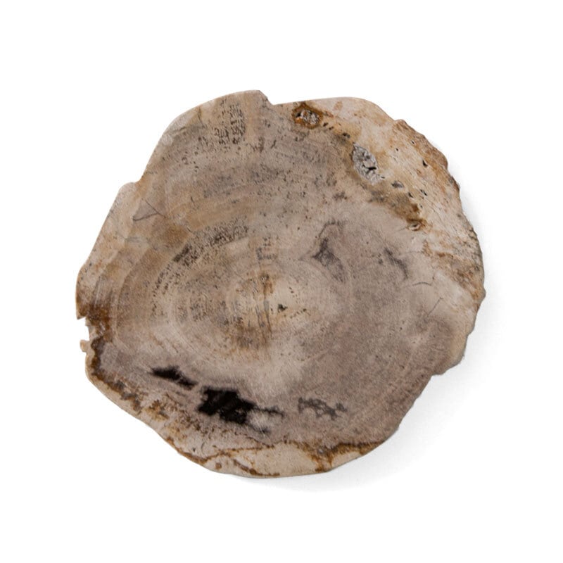 Wood Coaster Natural