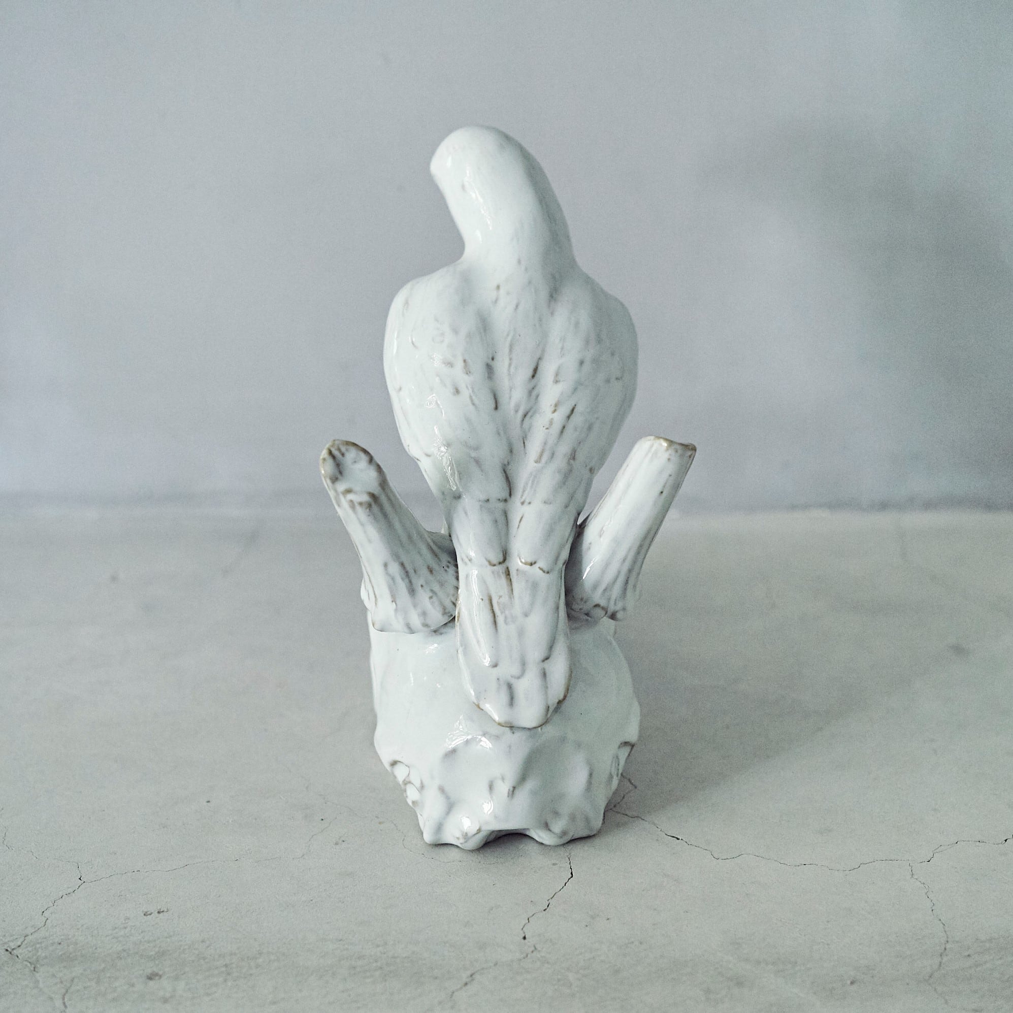 Crow & Deer Skull SC-009