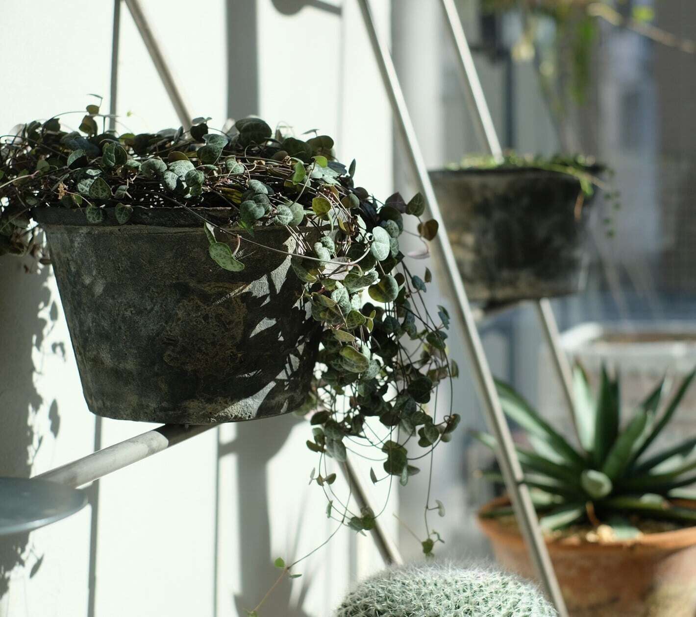 KNOP Ladder Rack TALL