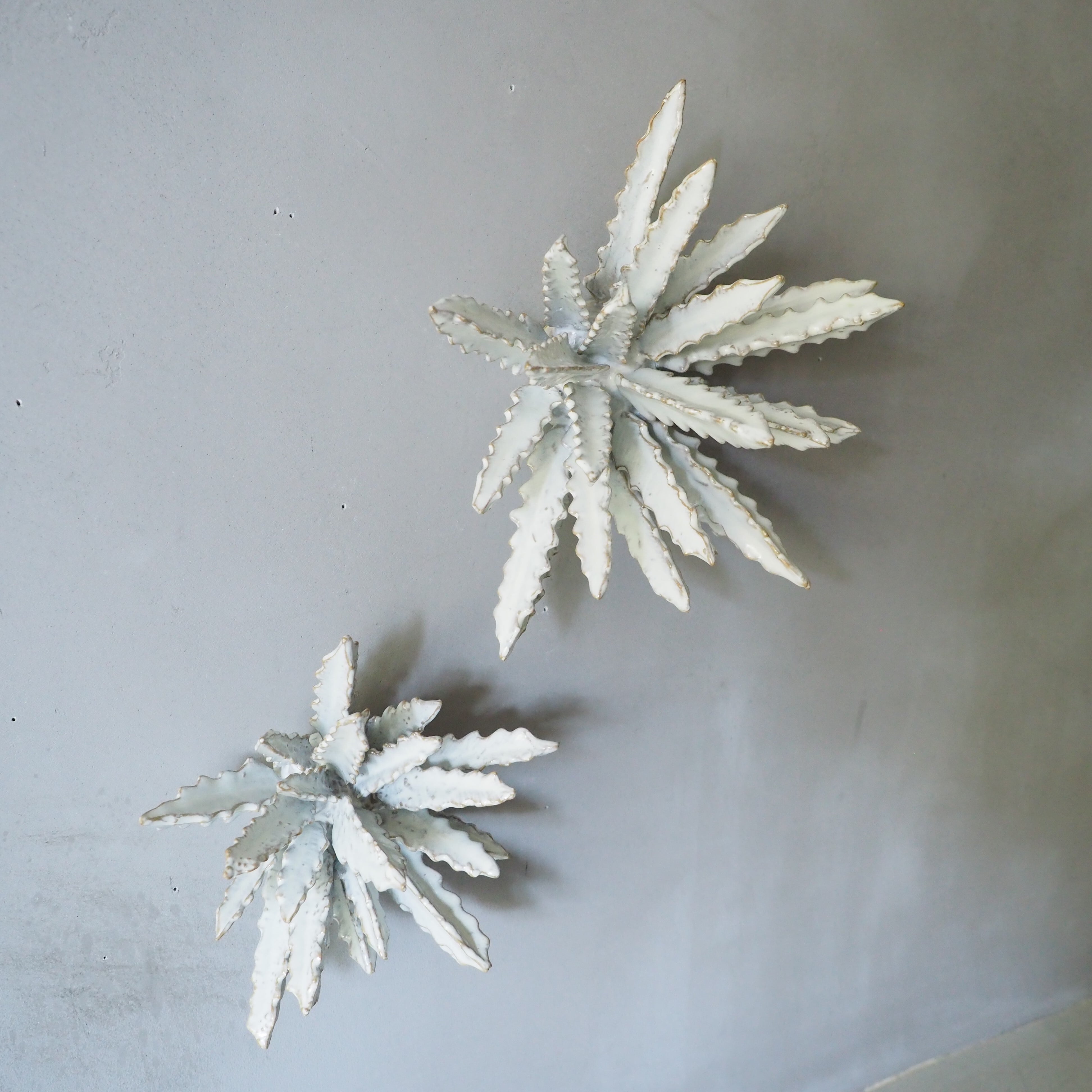 Urchin Star I OC-007