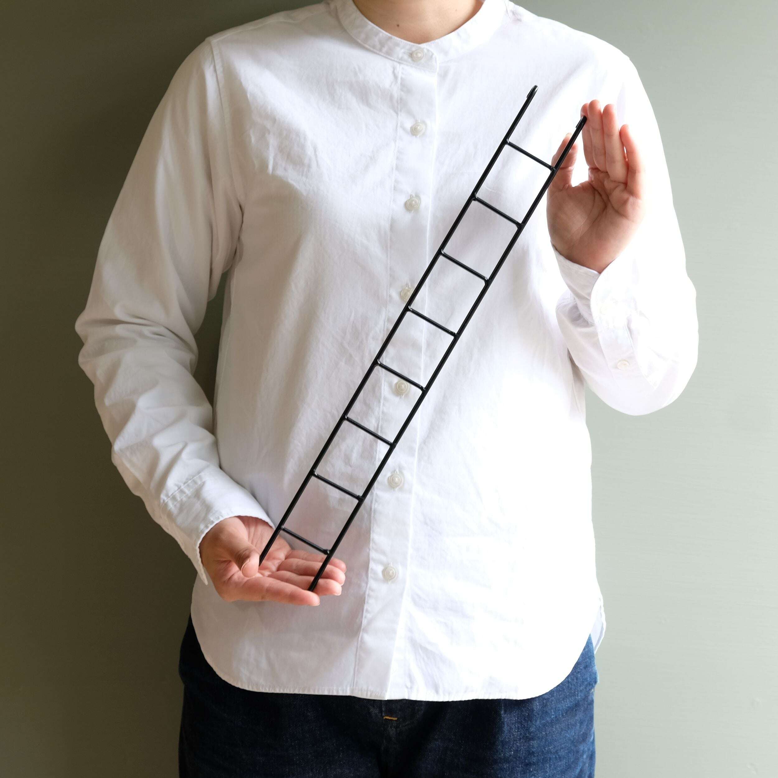 FIRE ESCAPE Ladder