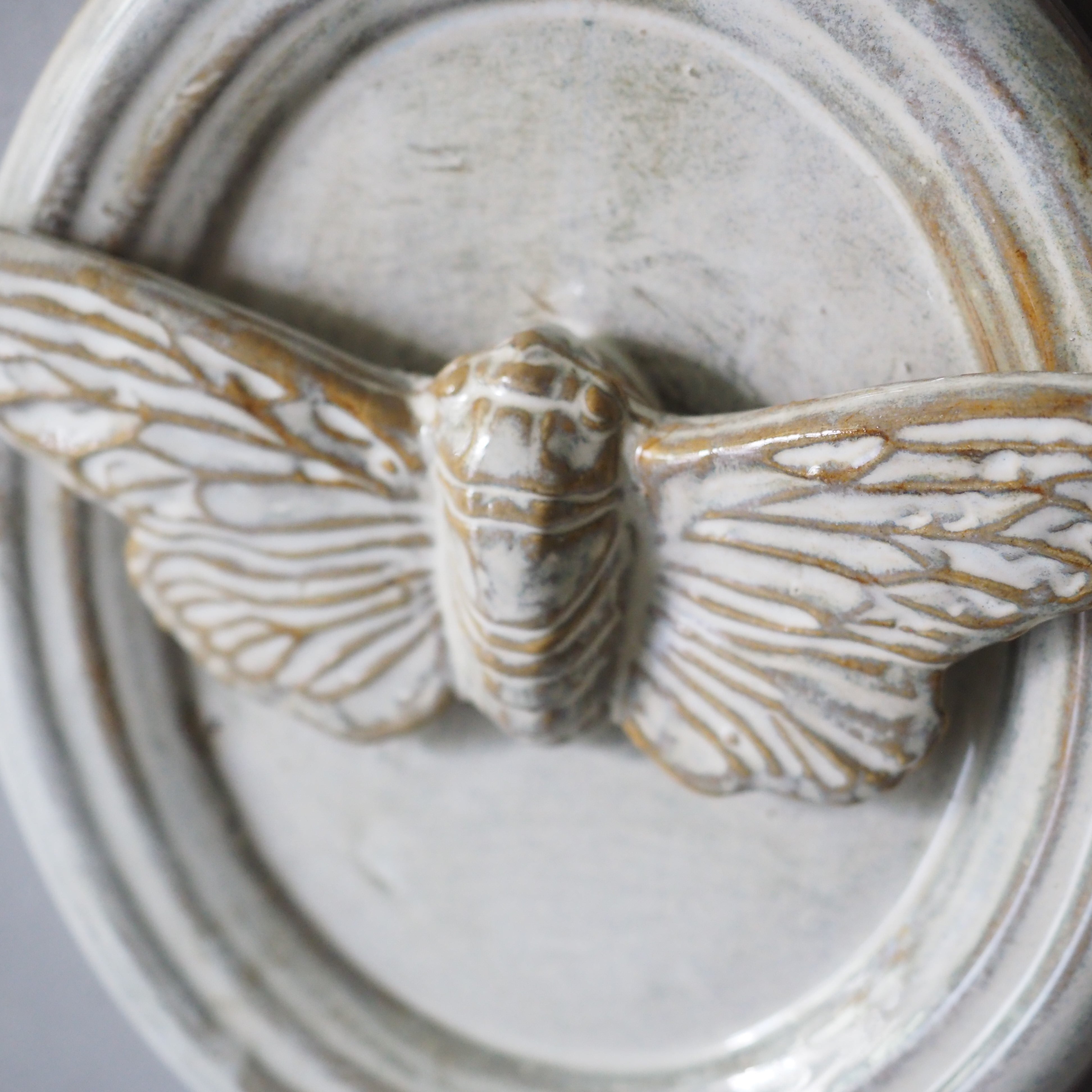 Cicada Trophy AH-016